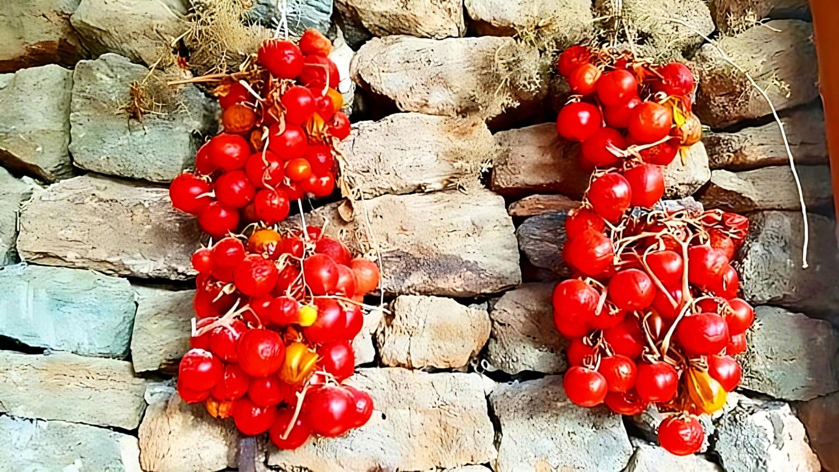 Dammuso Pantelleria - Fiori D'Ossidiana