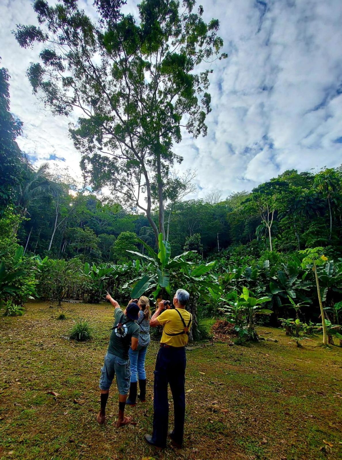 Canto del Tucán Lodge and Farm