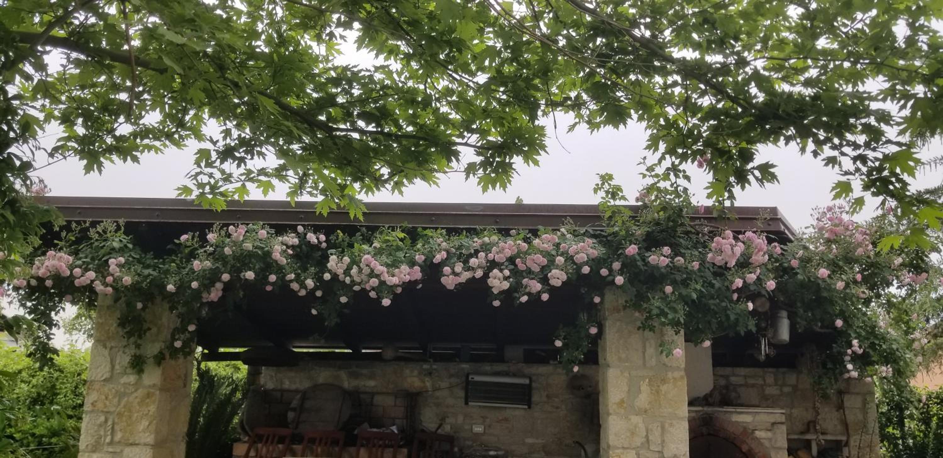 Country House Bubullime Albania (Villa - Cottage)