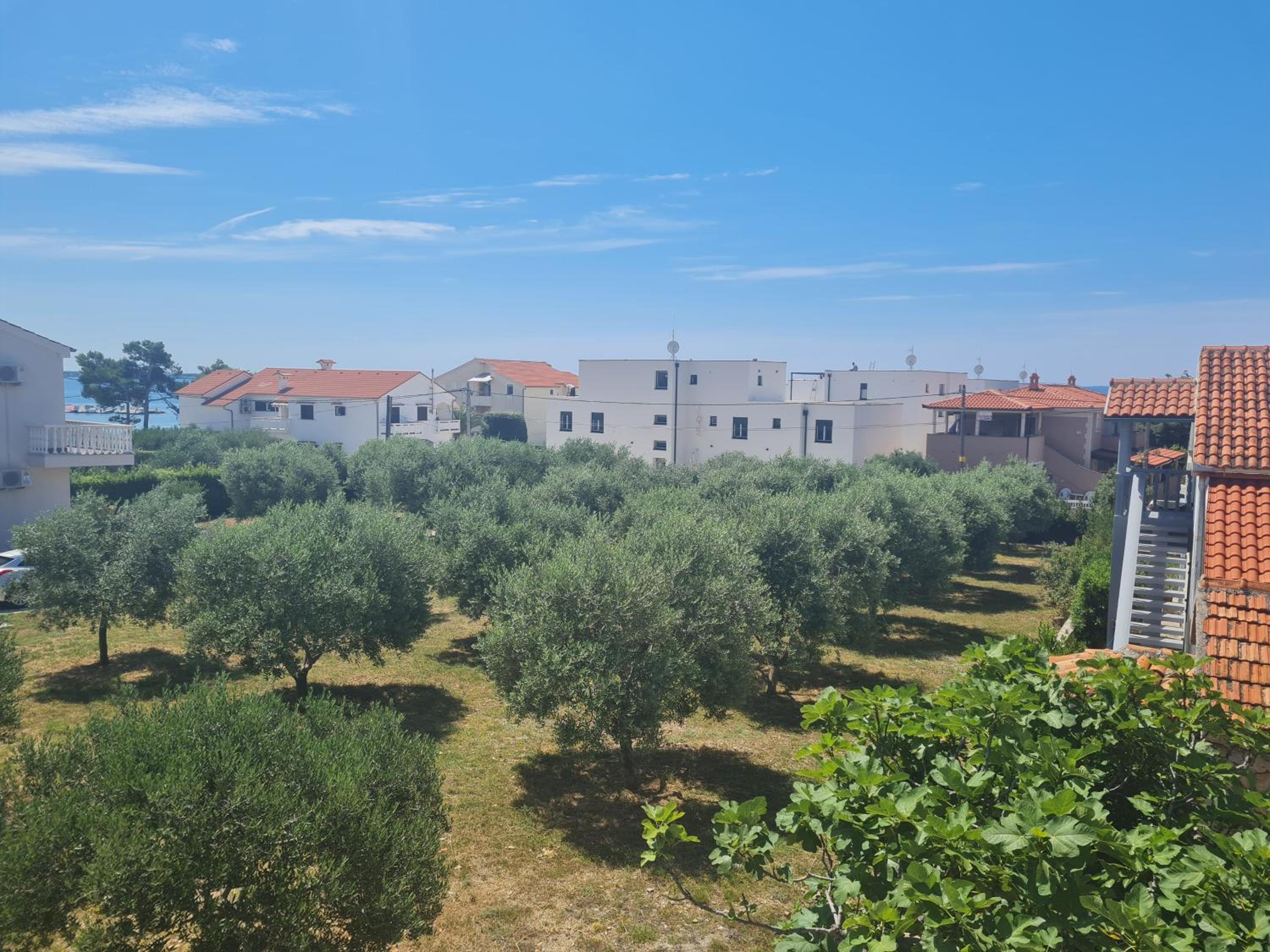 Hotel Apartment Tomislav - Image 1