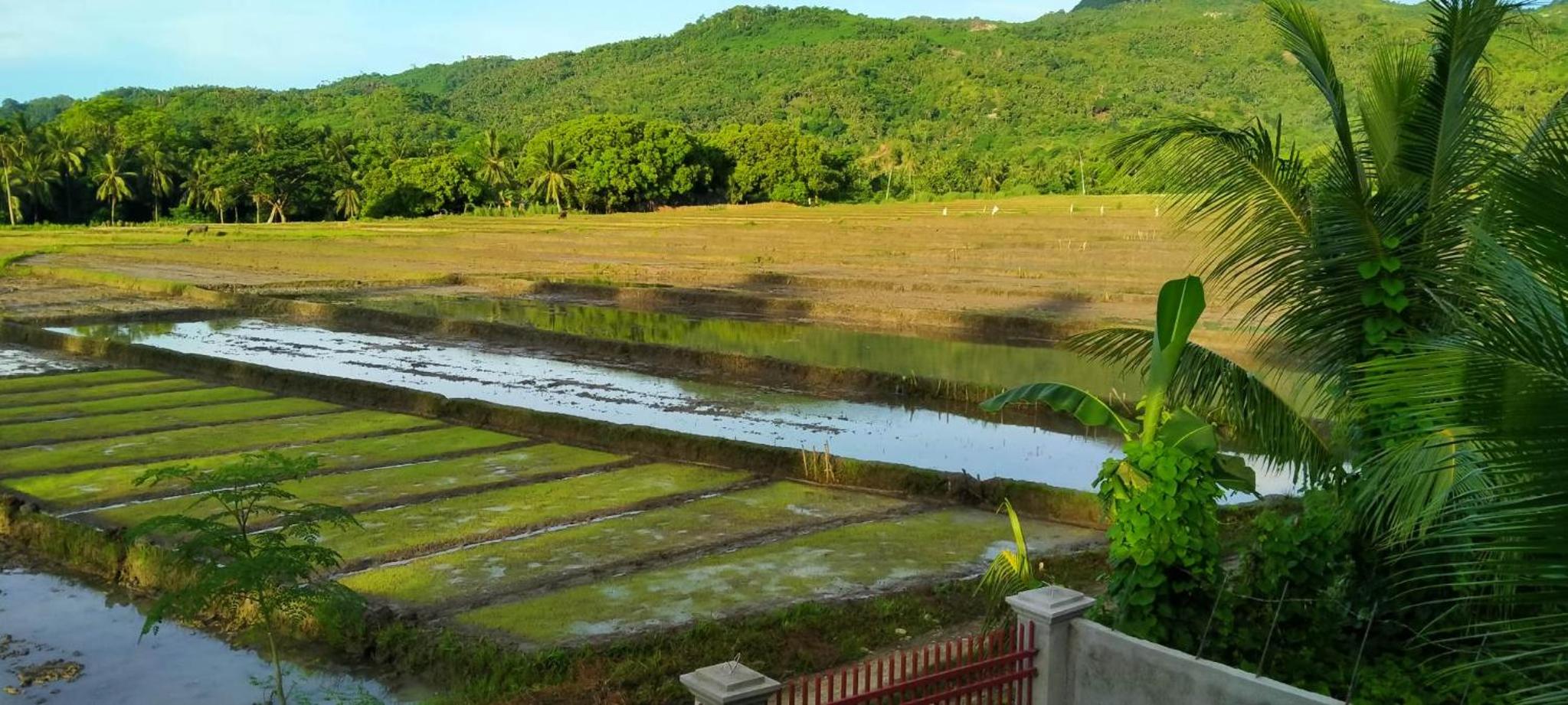 ERN Travellers Inn House in Mindoro view 3