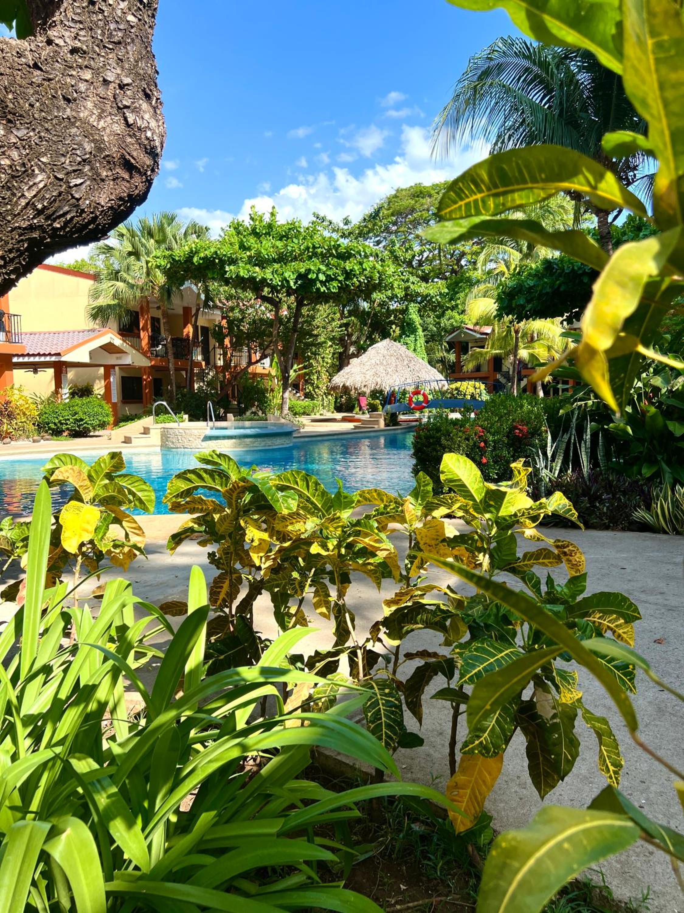 Cocomarindo Comfort Condo