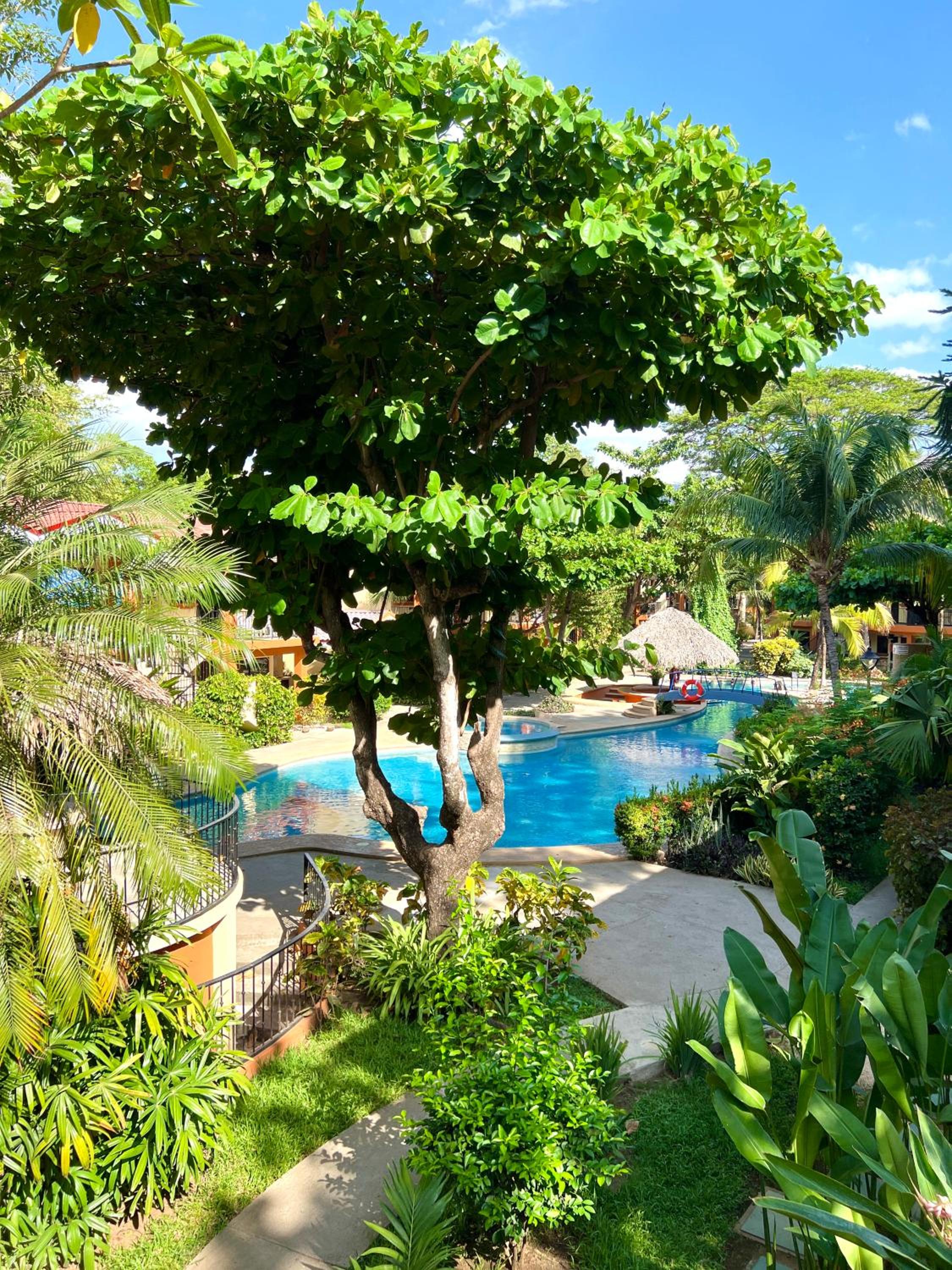 Cocomarindo Comfort Condo