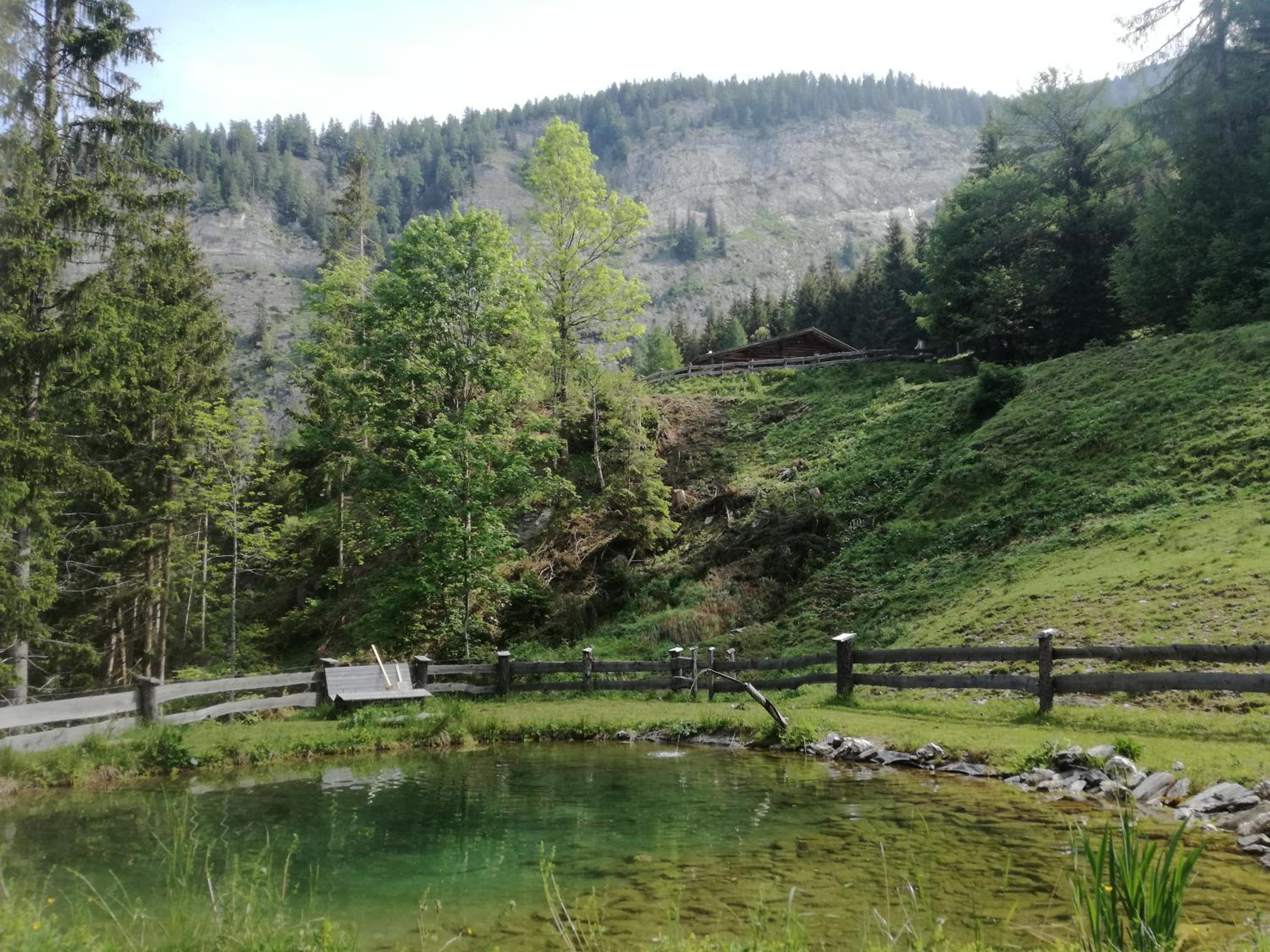 Rainer-Heimalm