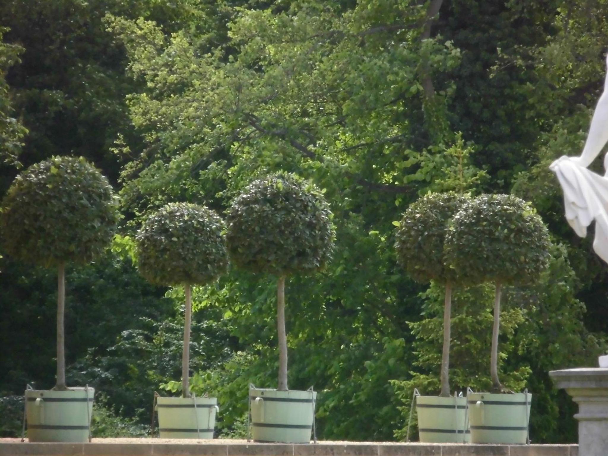 SchlossparkFerienwohnungen Rheinsberg mit Garten