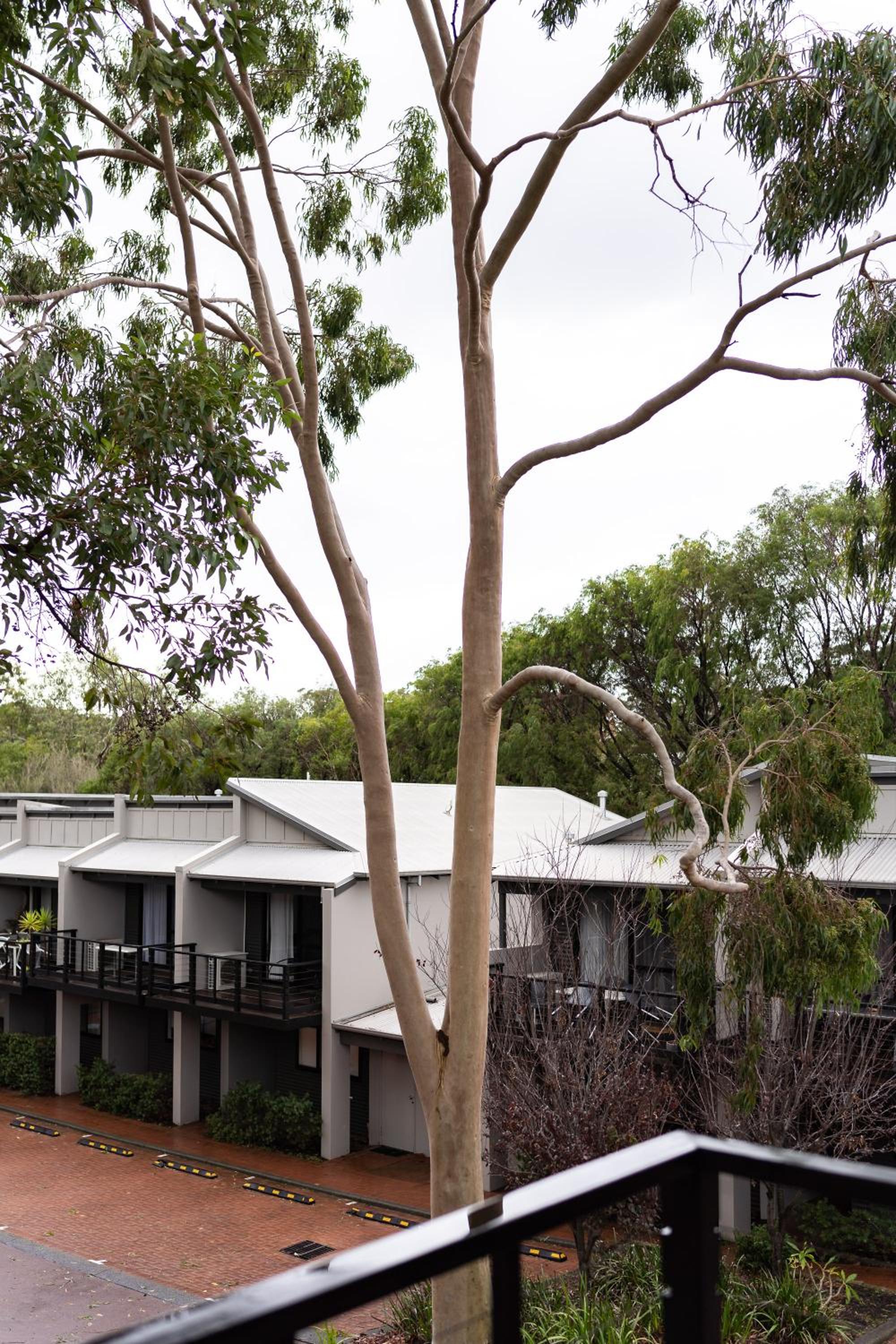 Hotel At Forest Stay - Image 1