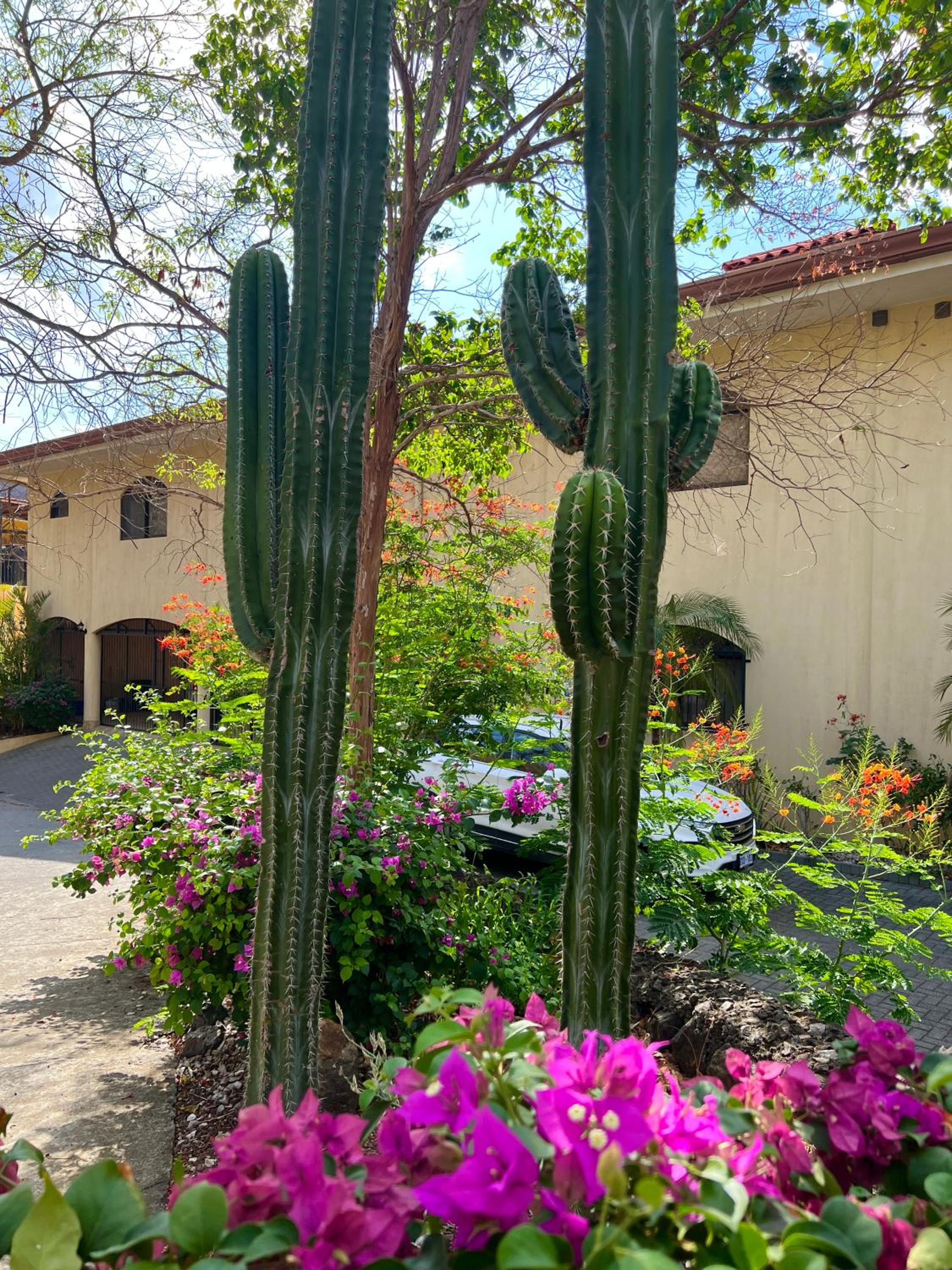 Oceanview Rancho with Two bedroom & Two baths