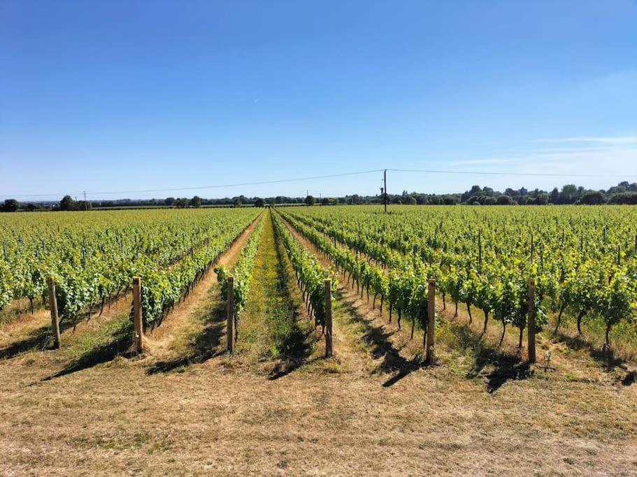 Cosy cottage with vineyard view near Goodwood Chichester