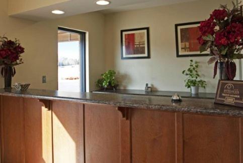 Americas Best Value Inn Byhalia view 4