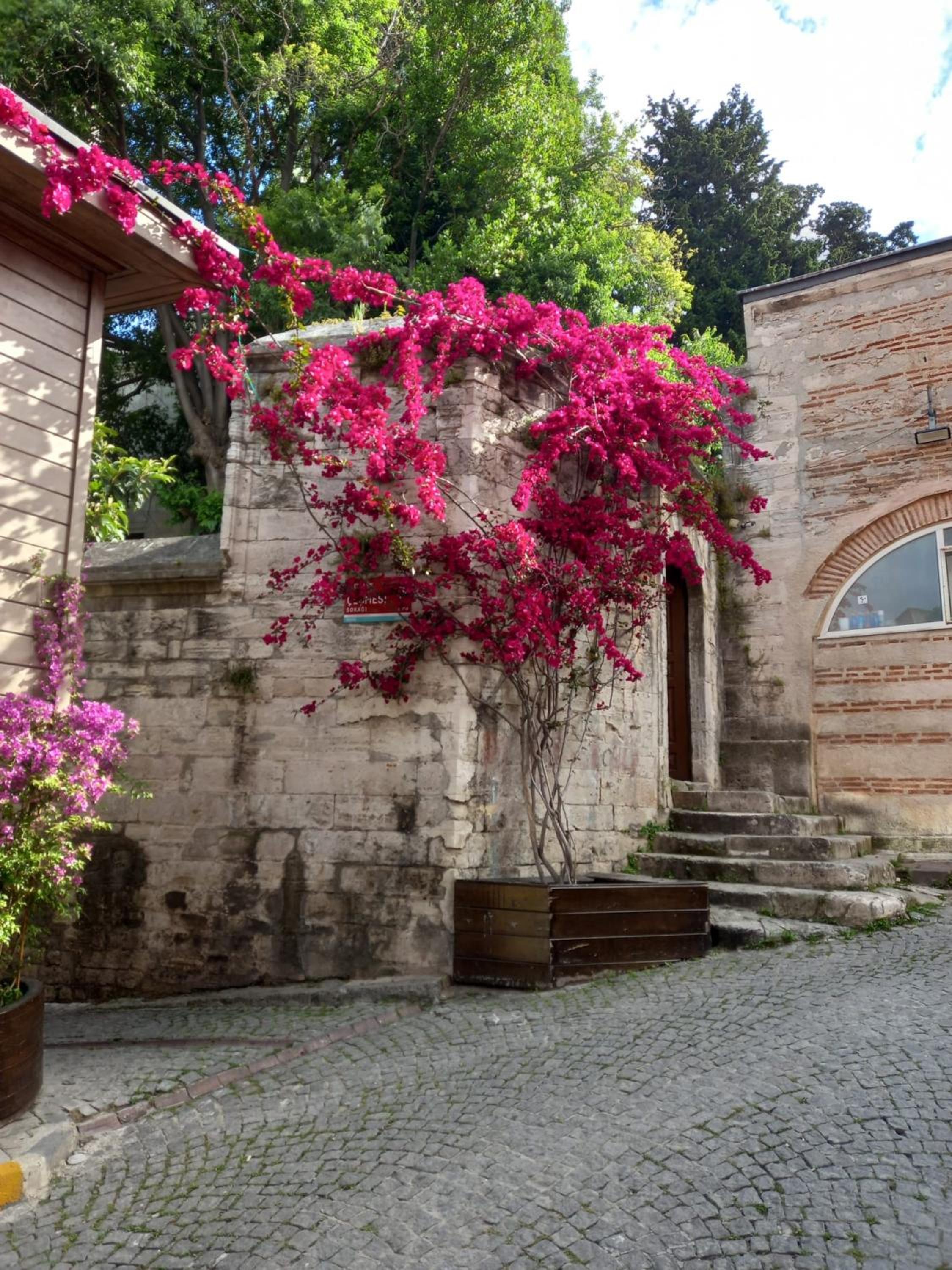 Emirhan Guesthouse & Suites