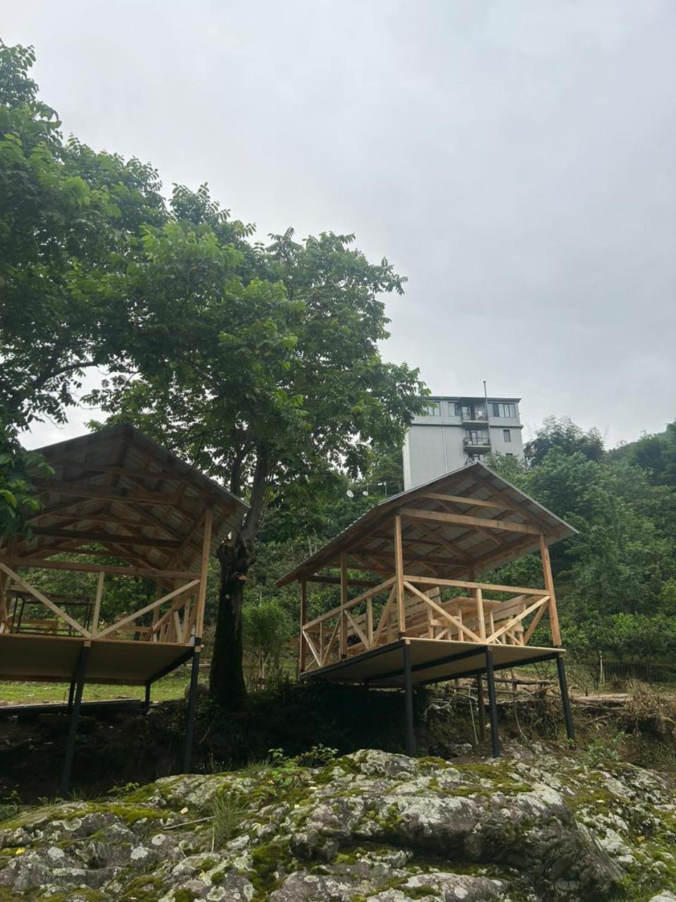 Mtirala Panorama