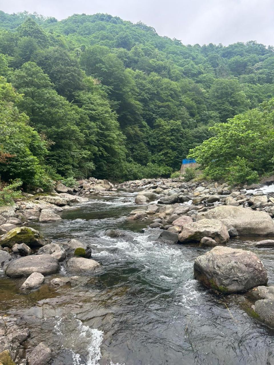 Mtirala Panorama