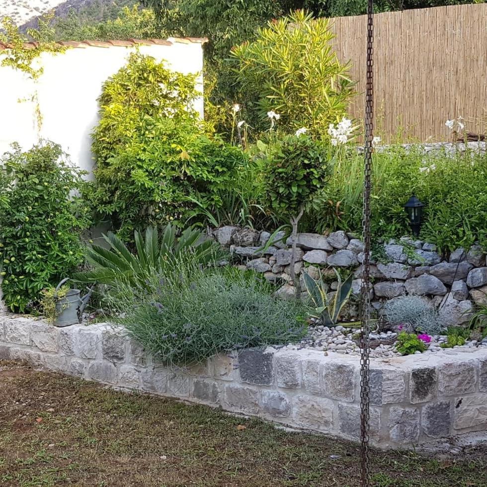 Photo 10