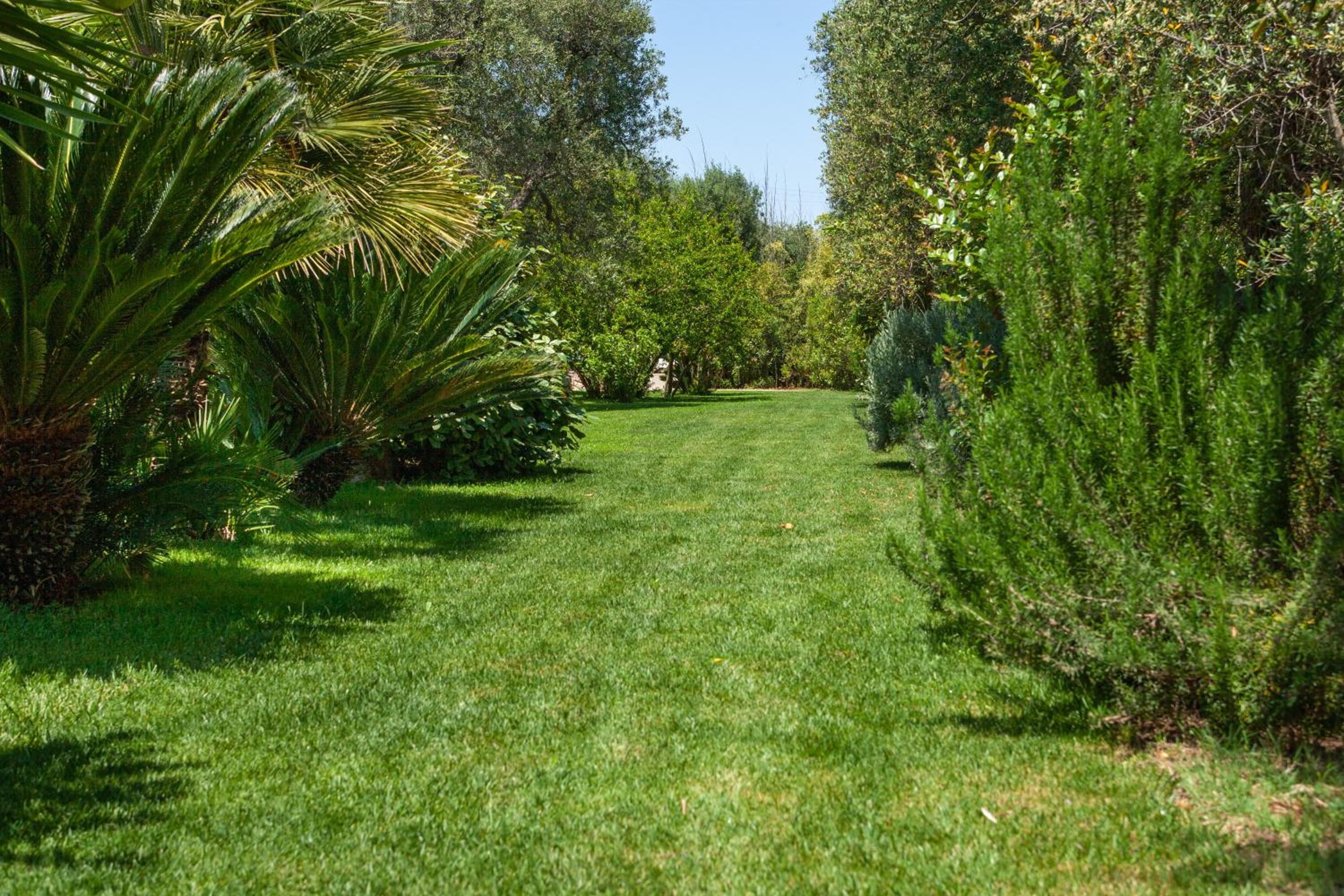 Photo 31