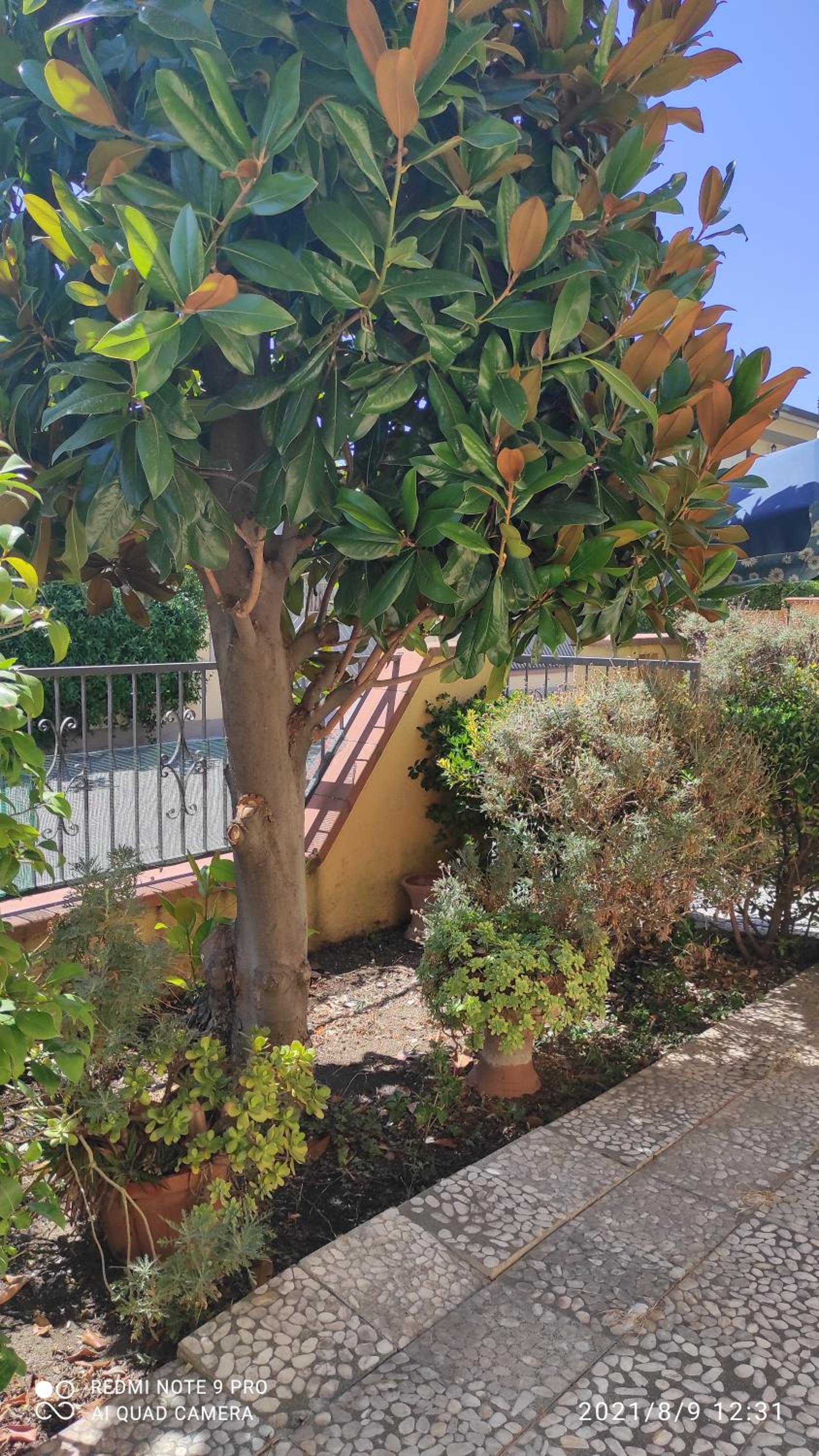 CASA ELIA view 5