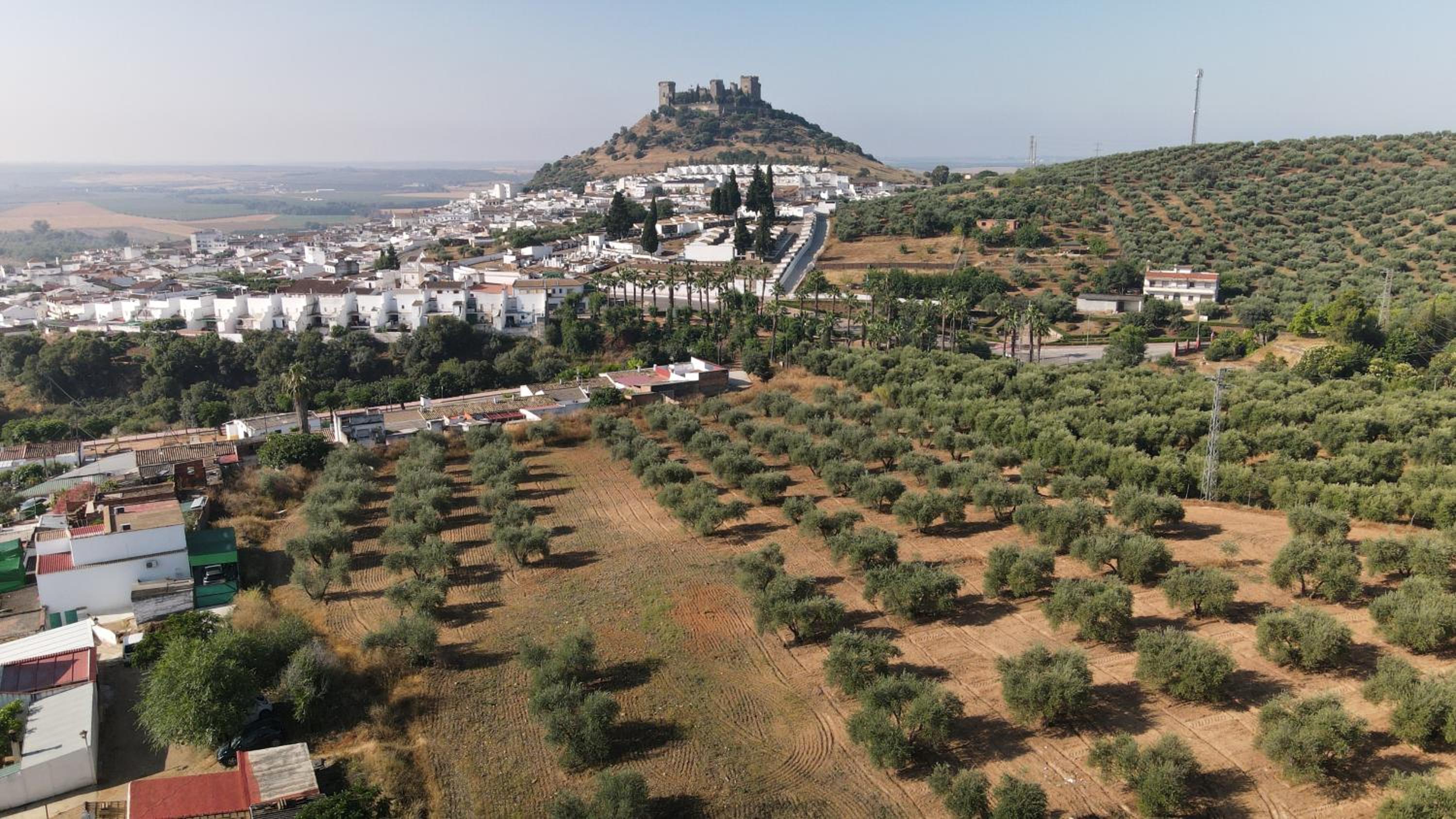 APARTAMENTOS MATUTE