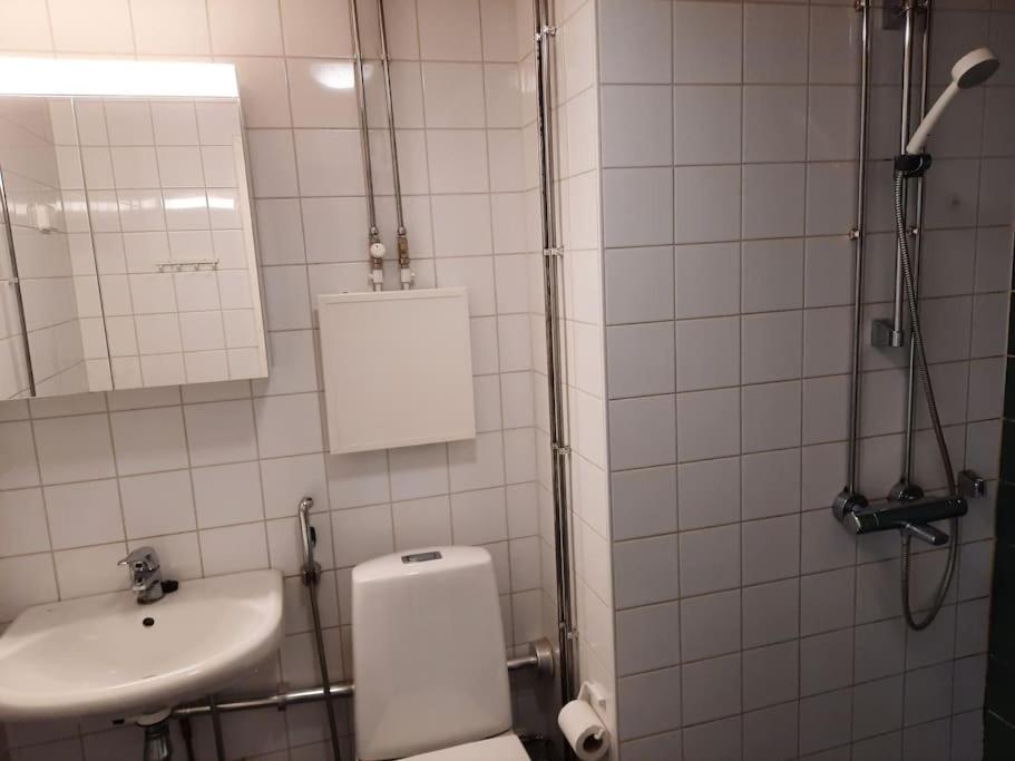 Big and Cozy Apartment, FREE Parking 25 min to Center view 5