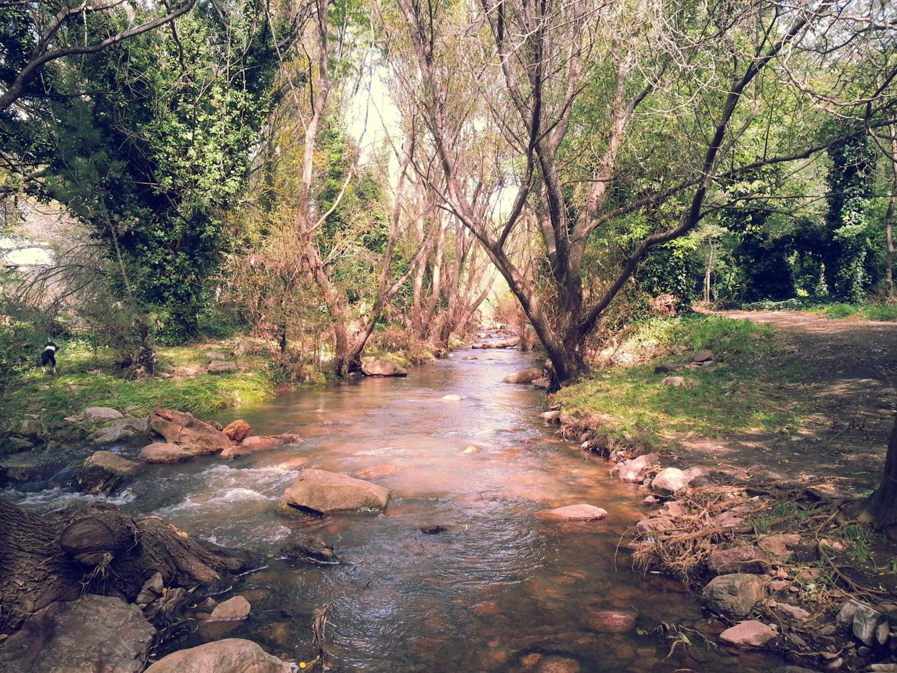 La Posada del Hobbit
