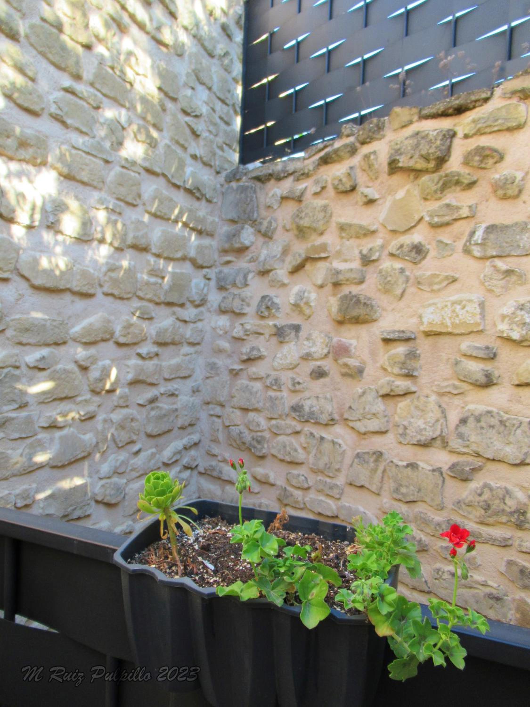 Photo 34