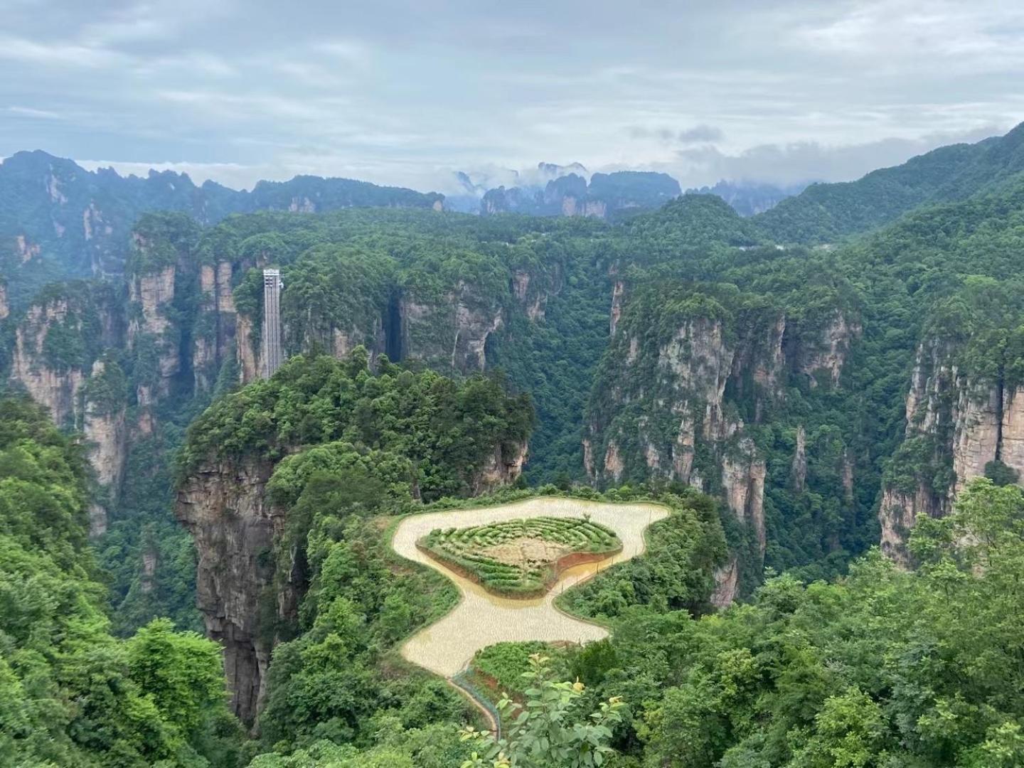 Zhangjiajie National Park Nvue Resorts