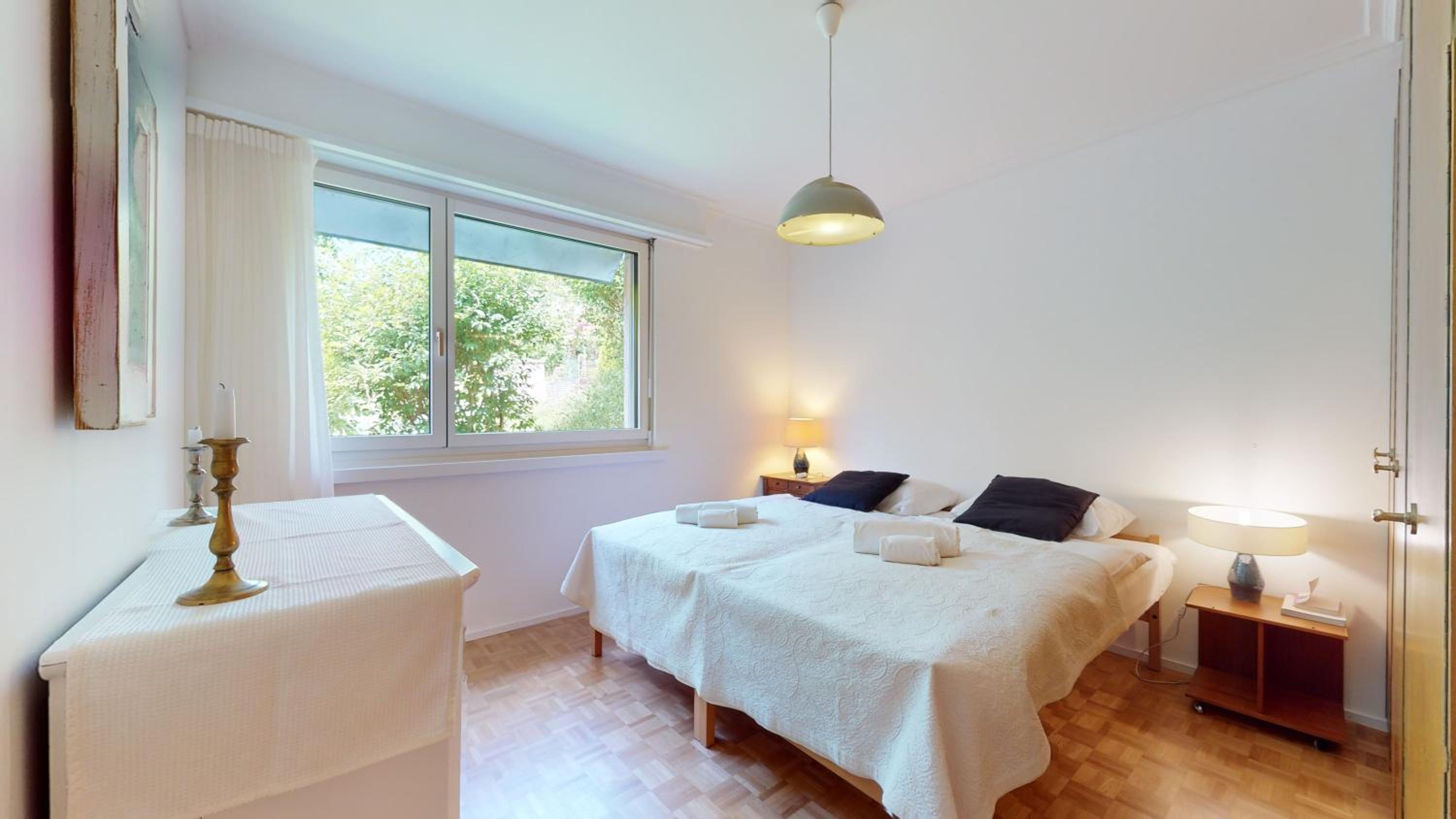 Bright flat overlooking Lake Geneva