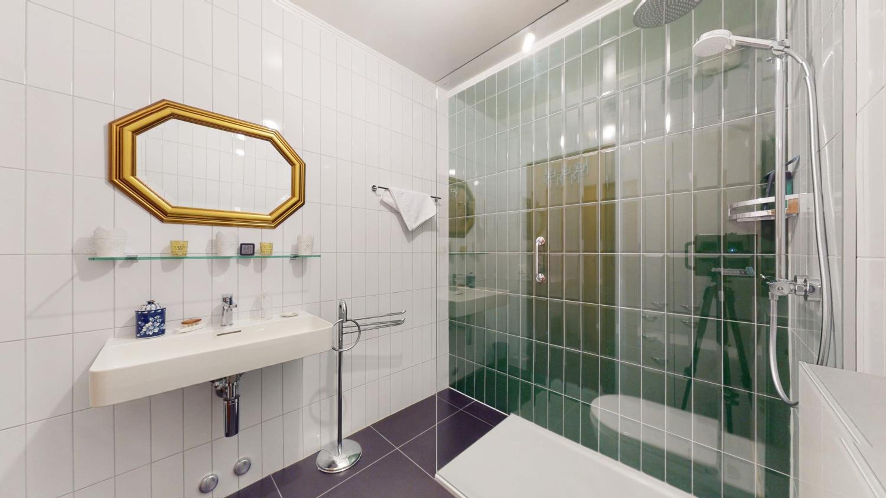 Bright flat overlooking Lake Geneva