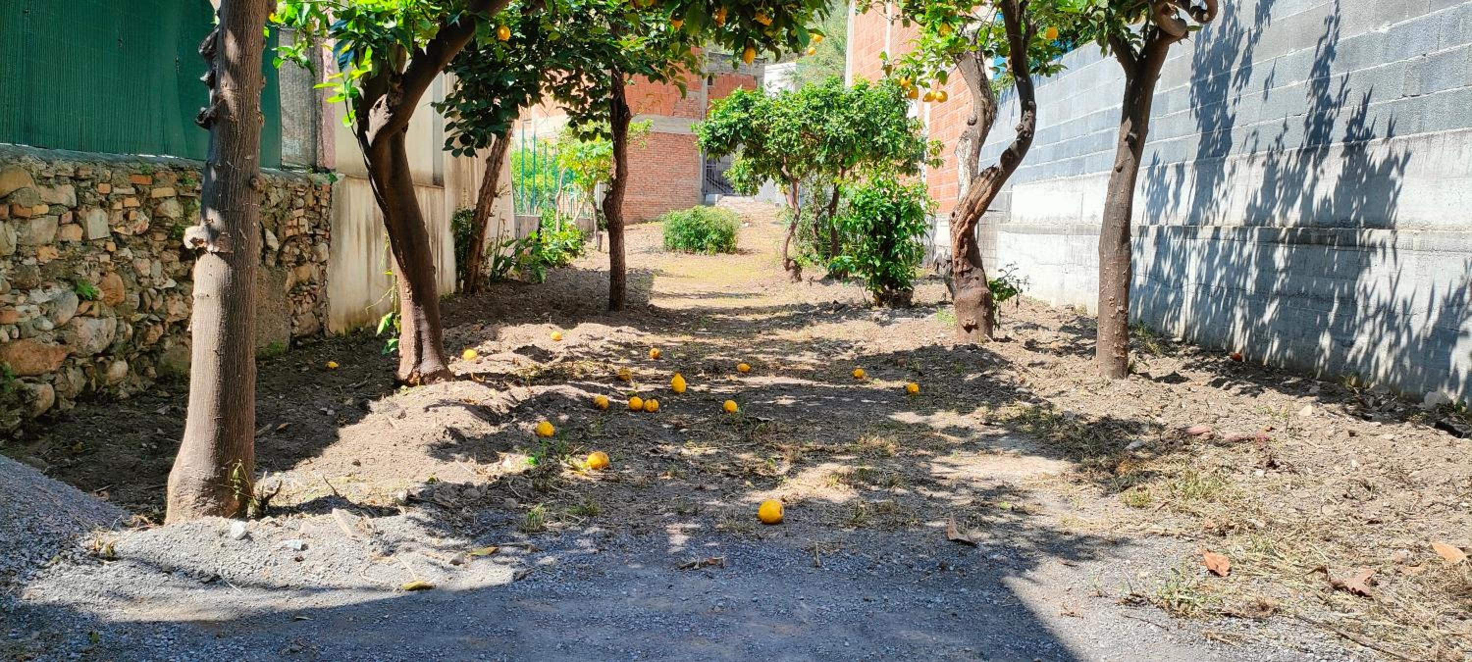 Casa e giardino Taormina a 100 Mt da stazione e 30 Mt dal mare photo 3
