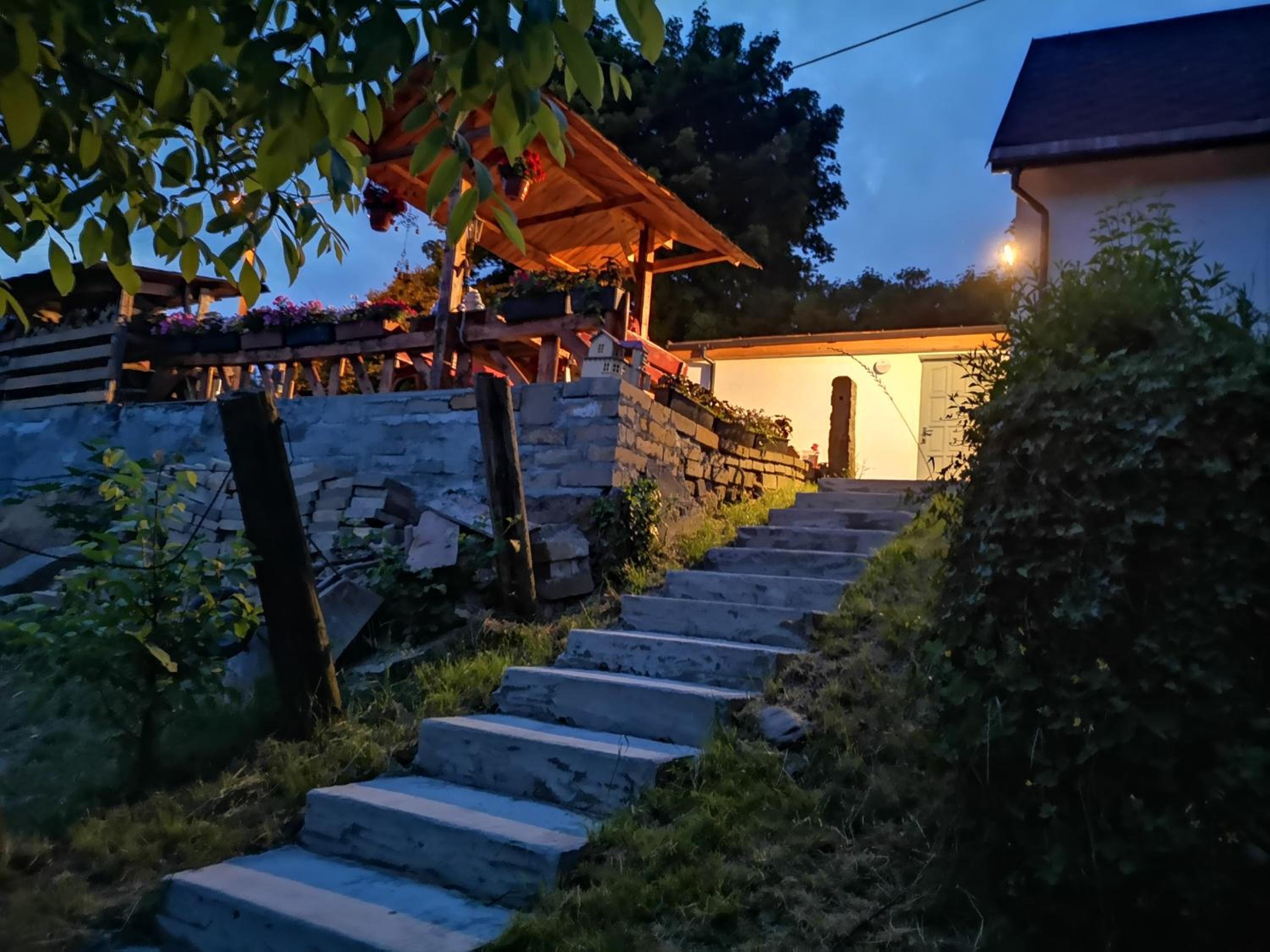 Maciejówka