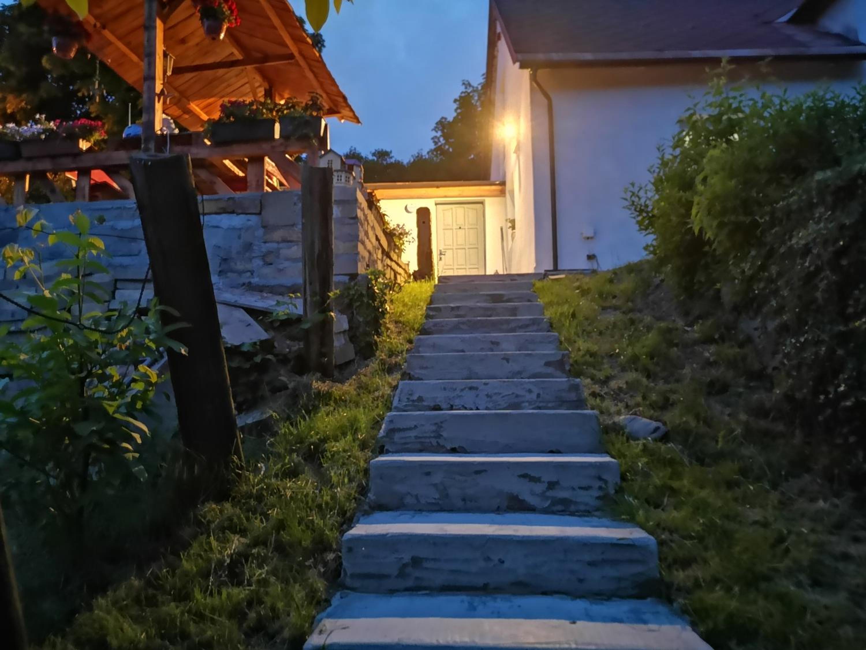 Maciejówka