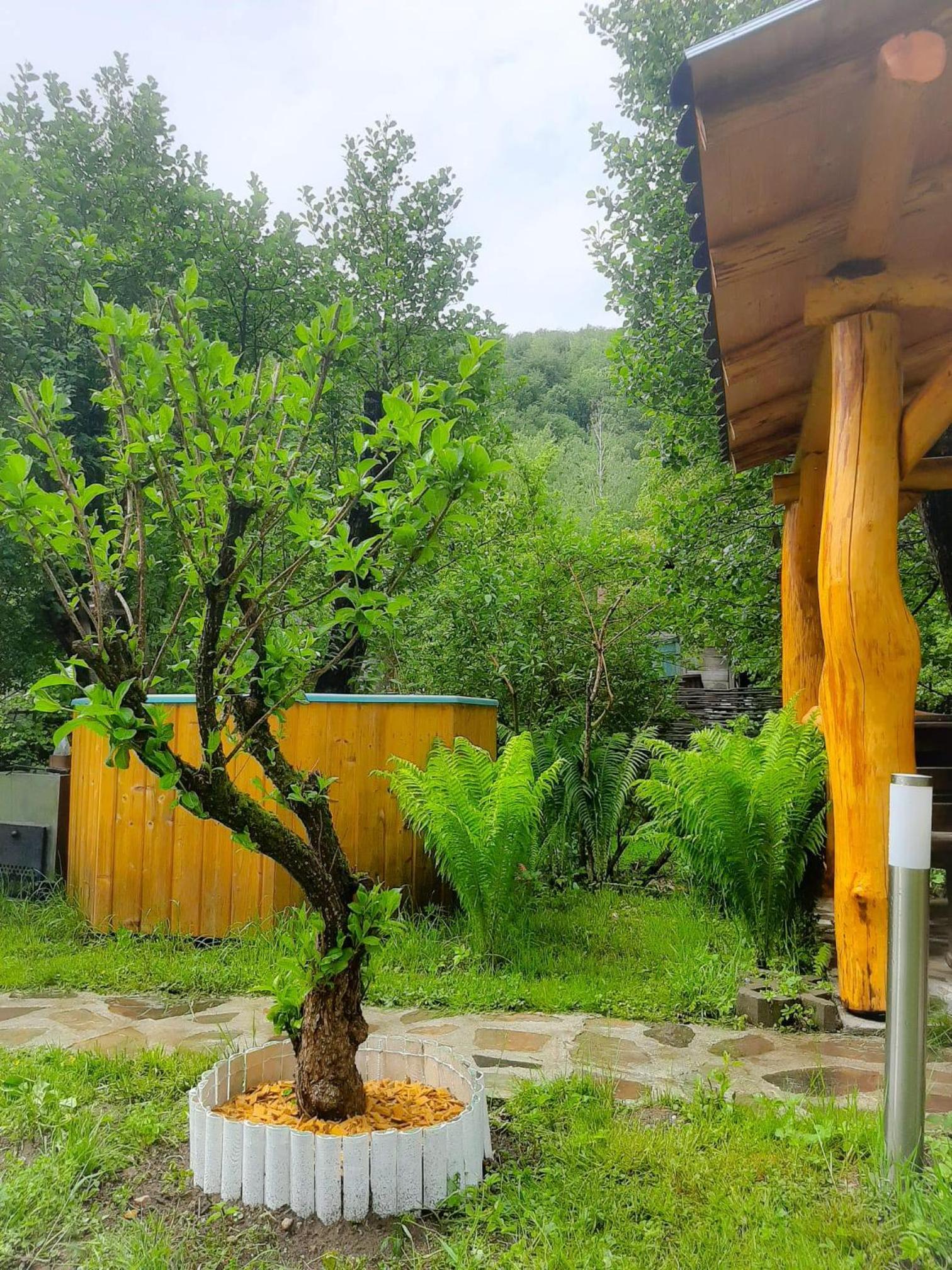 Casa River
