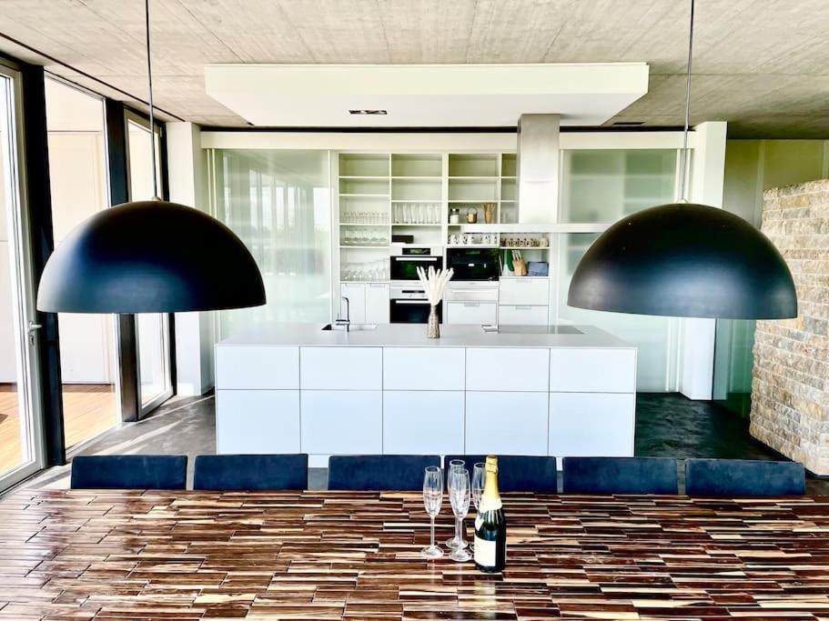 Luxus Design Ferienhaus Villa EMG Bensheim nah Frankfurt, Heidelberg mit Sauna, Schwimmteich, Garten für Familien und Gruppen bis 17 Personen