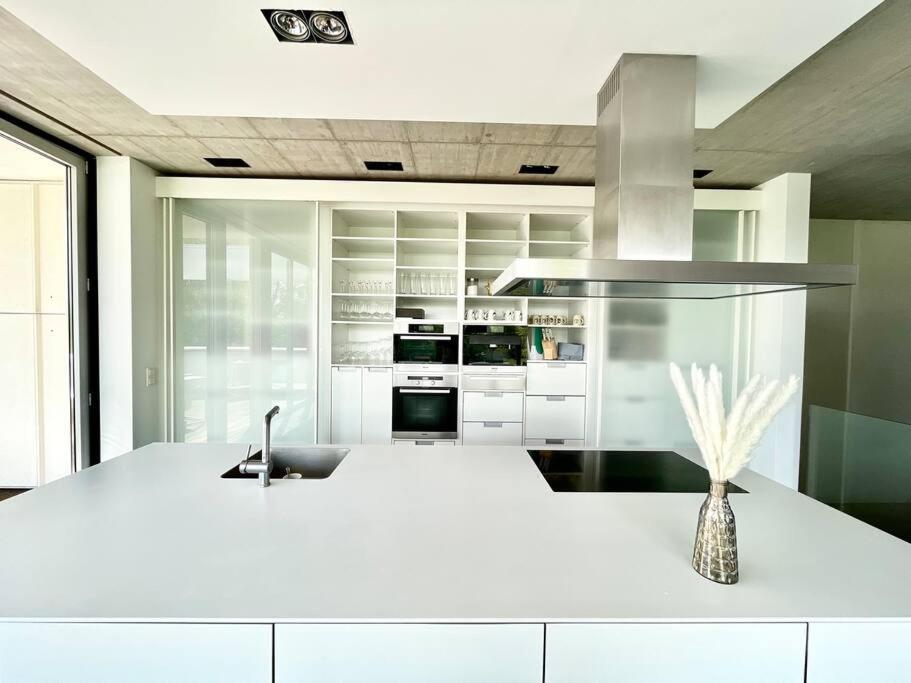 Luxus Design Ferienhaus Villa EMG Bensheim nah Frankfurt, Heidelberg mit Sauna, Schwimmteich, Garten für Familien und Gruppen bis 17 Personen