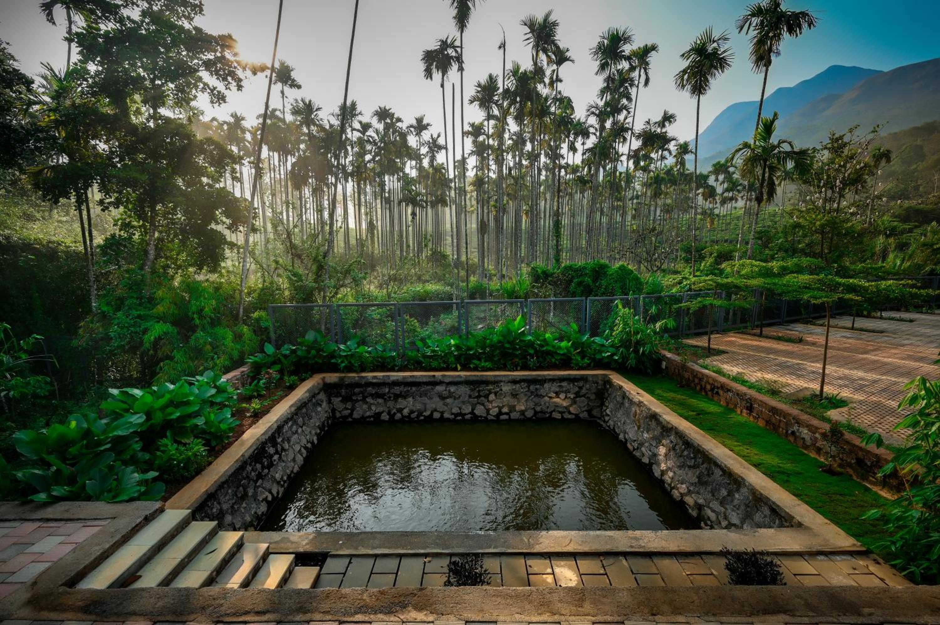 garden