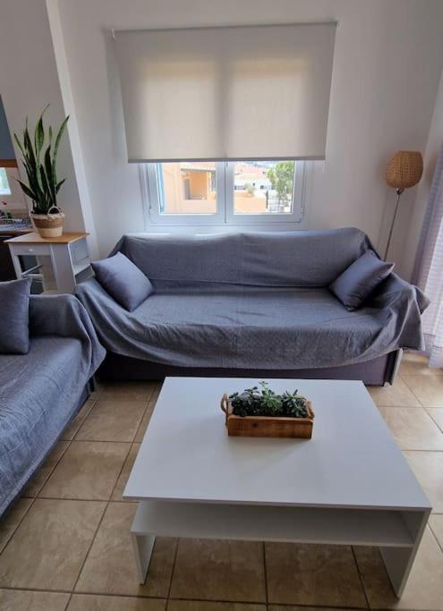 Nala's home view 4