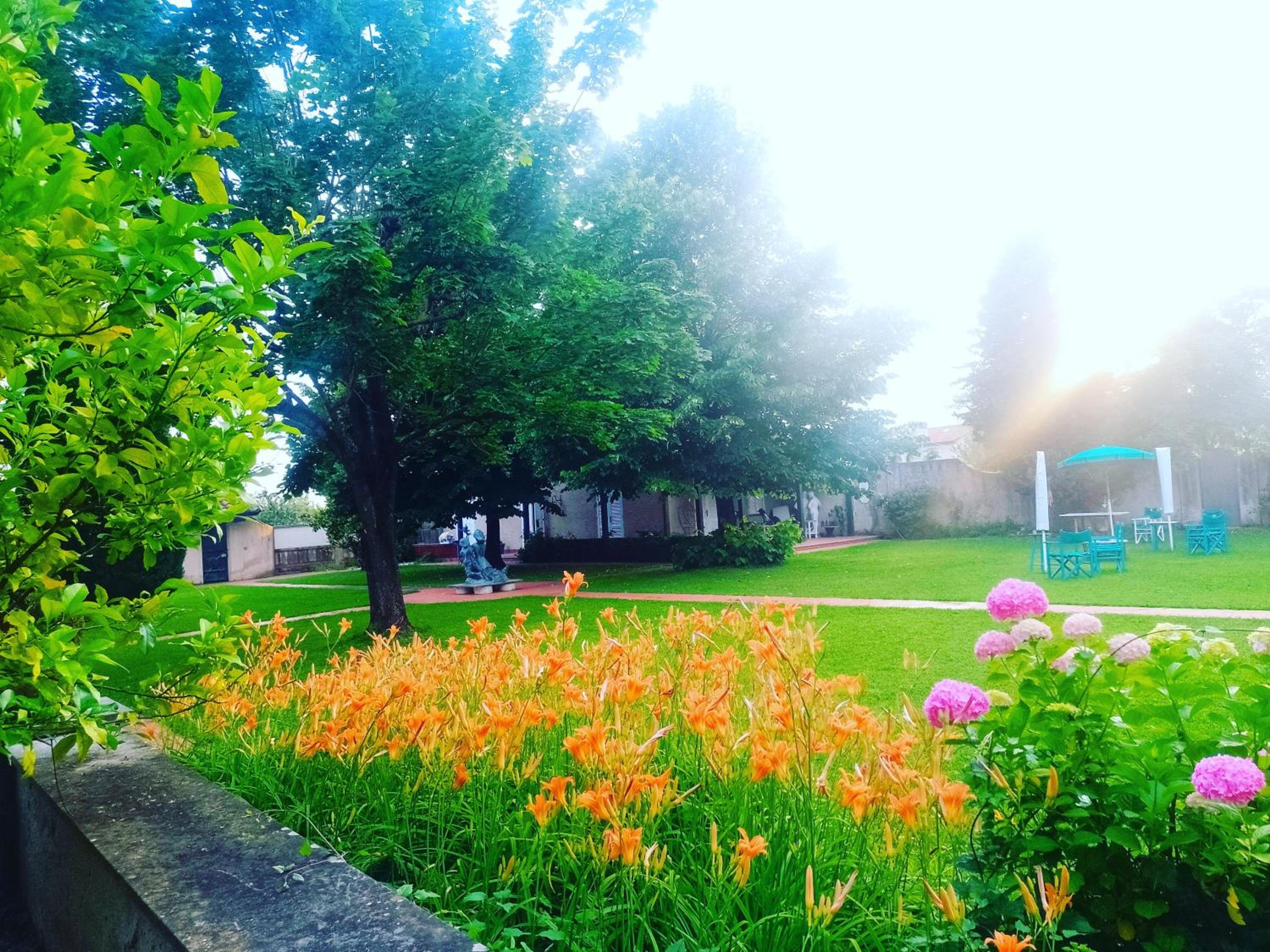 Photo 47