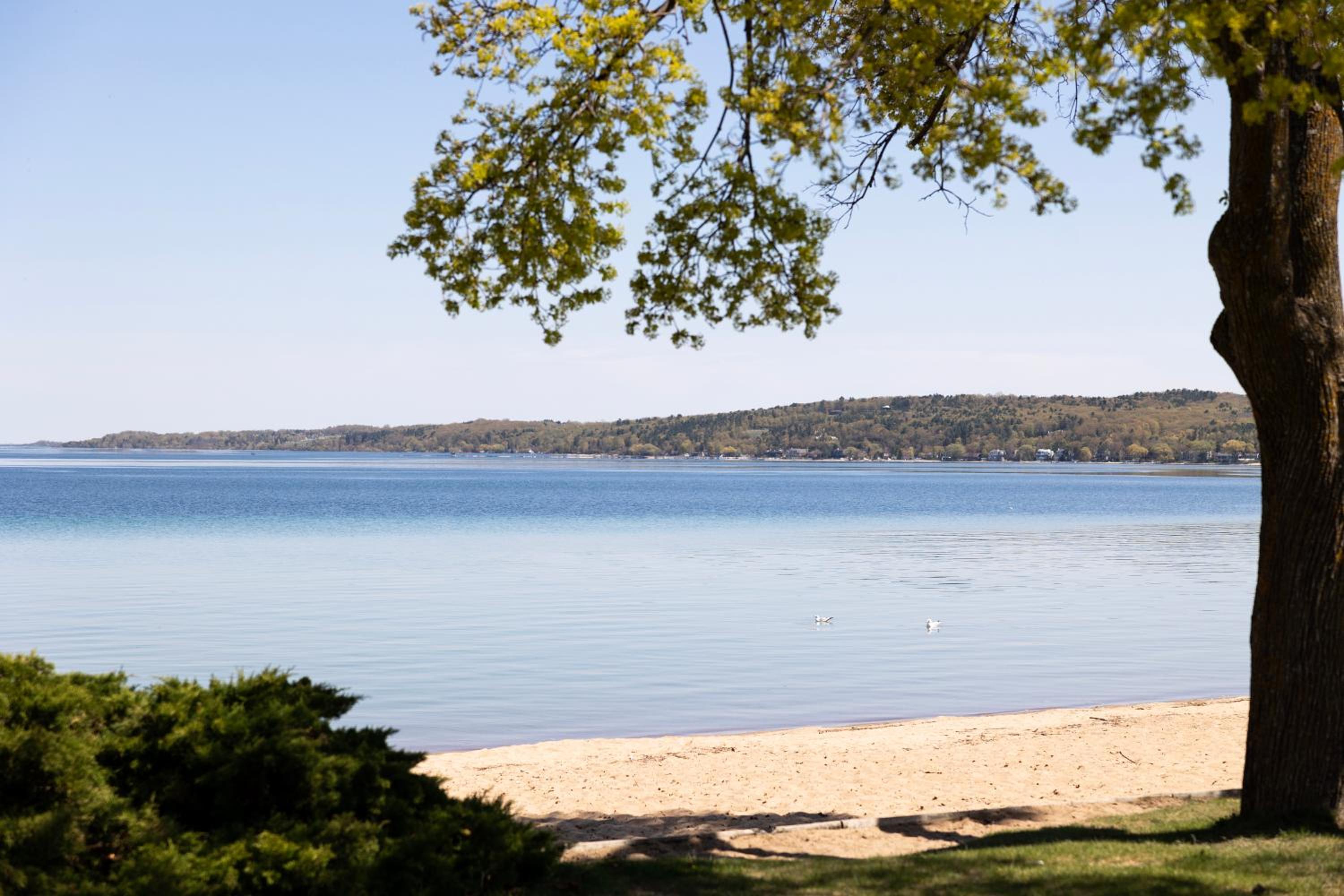 Sweet Tart Spot - Cozy TC Condo - Tart Trail - Balcony - Pets welcome view 5