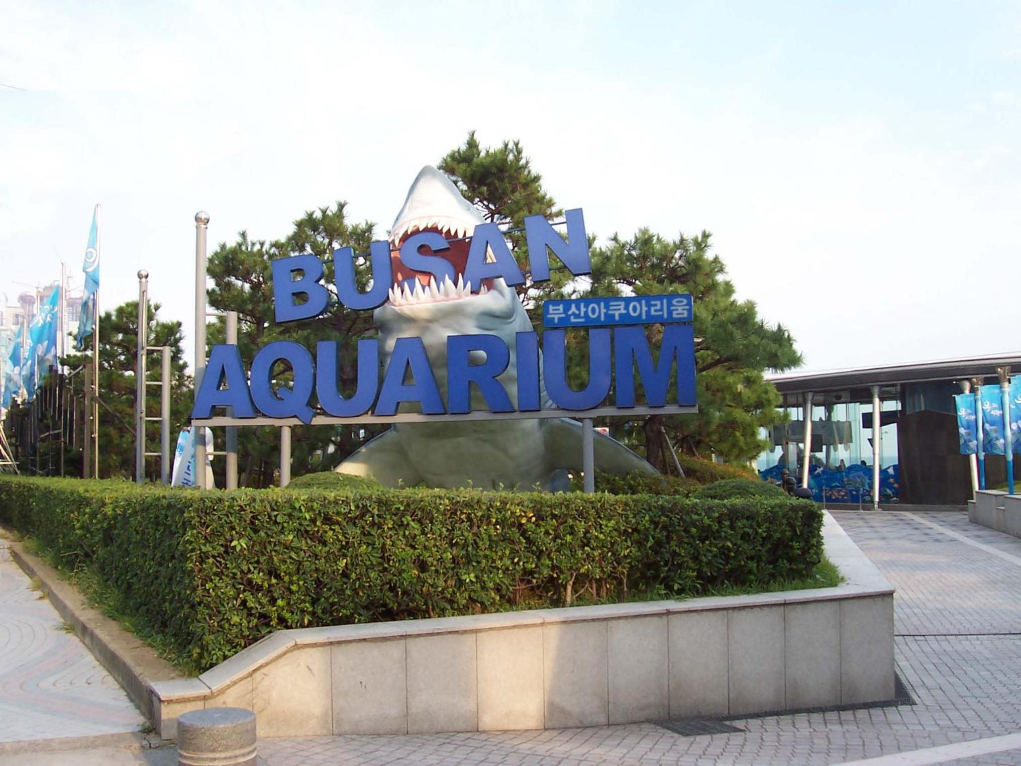 Haeundae Luxury House