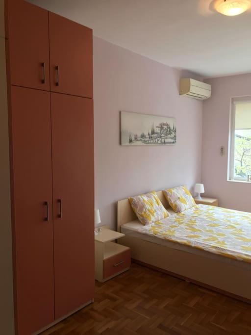 Star Ray Apartment