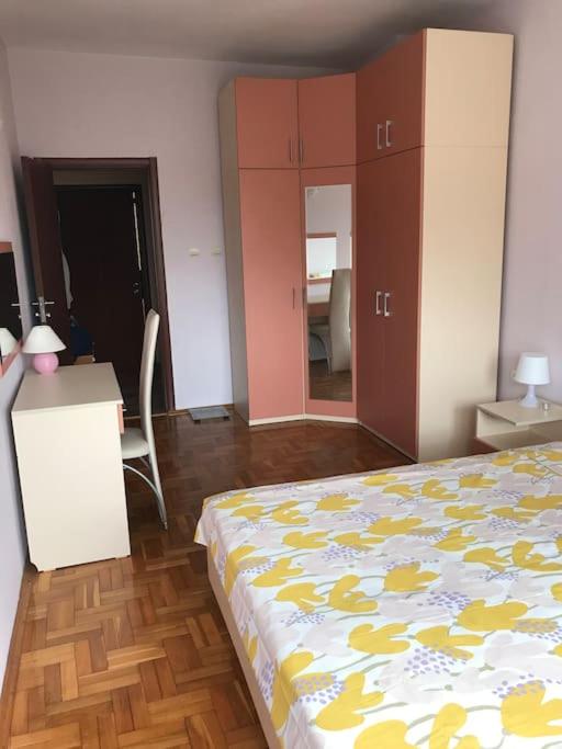 Star Ray Apartment