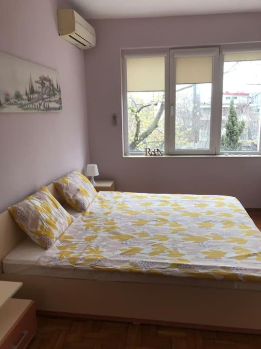 Star Ray Apartment