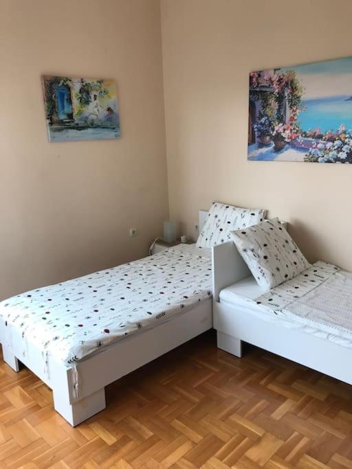 Star Ray Apartment