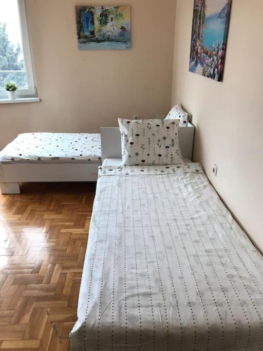 Star Ray Apartment