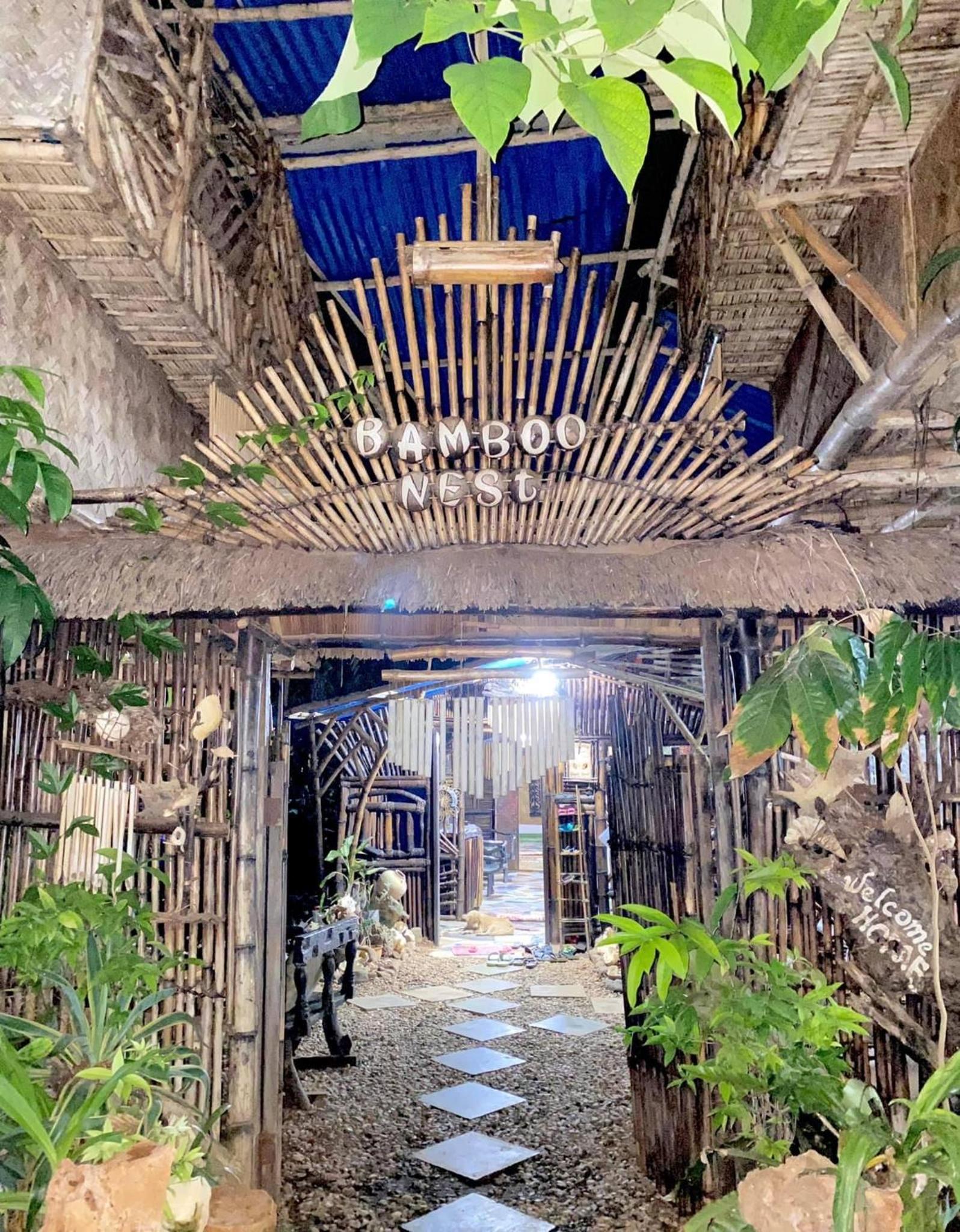 Bamboo Nest view 5