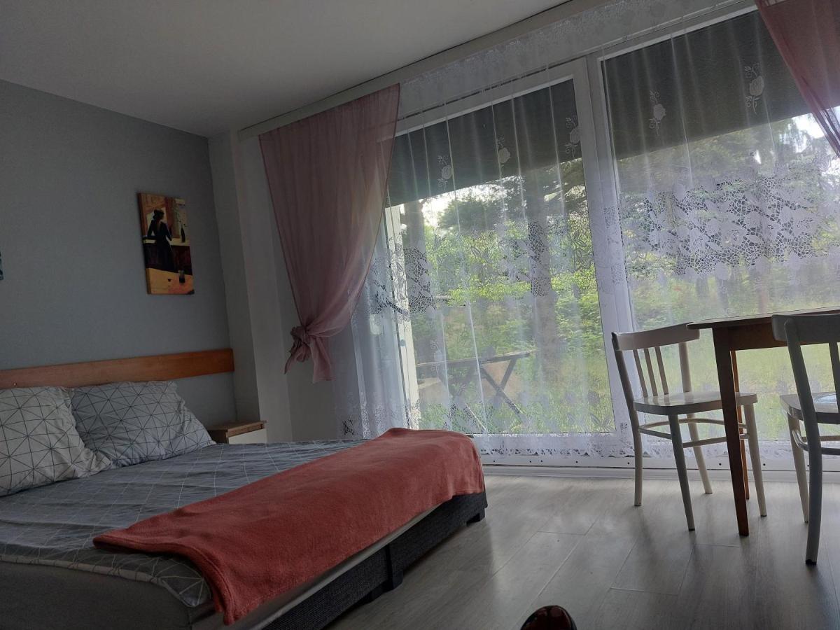 NOCLEGI u ALI view 3