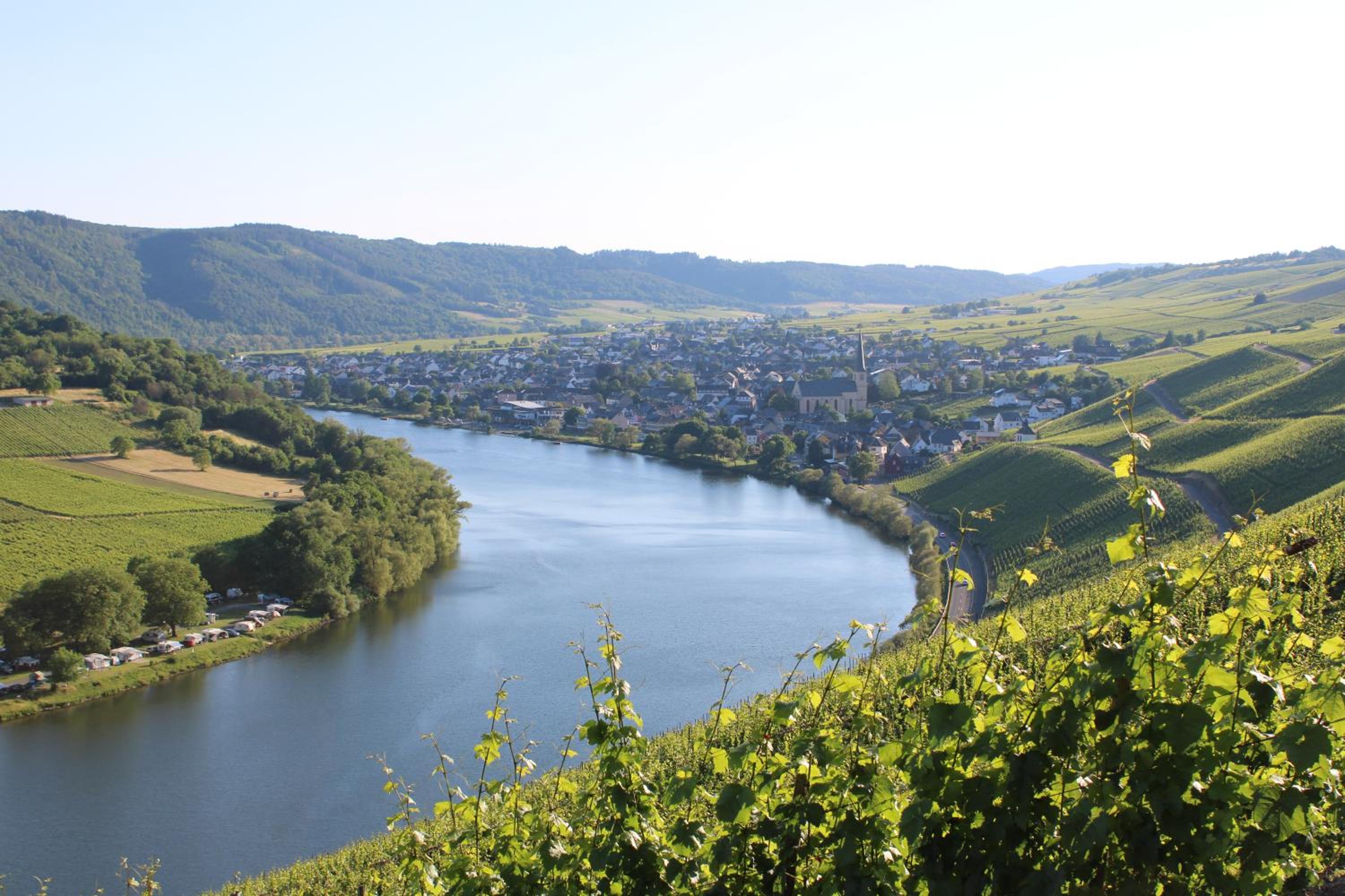 Weingut Markus Junglen