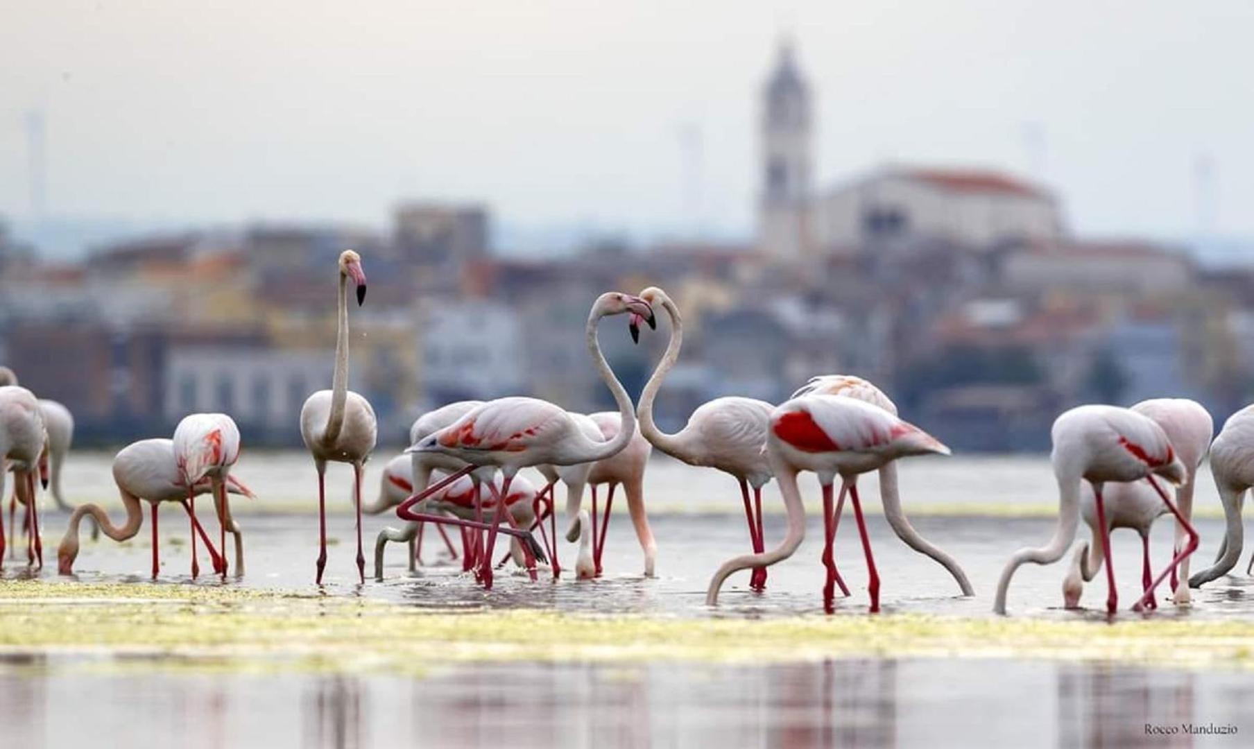 Casa Vacanze Lesina Gargano view 5