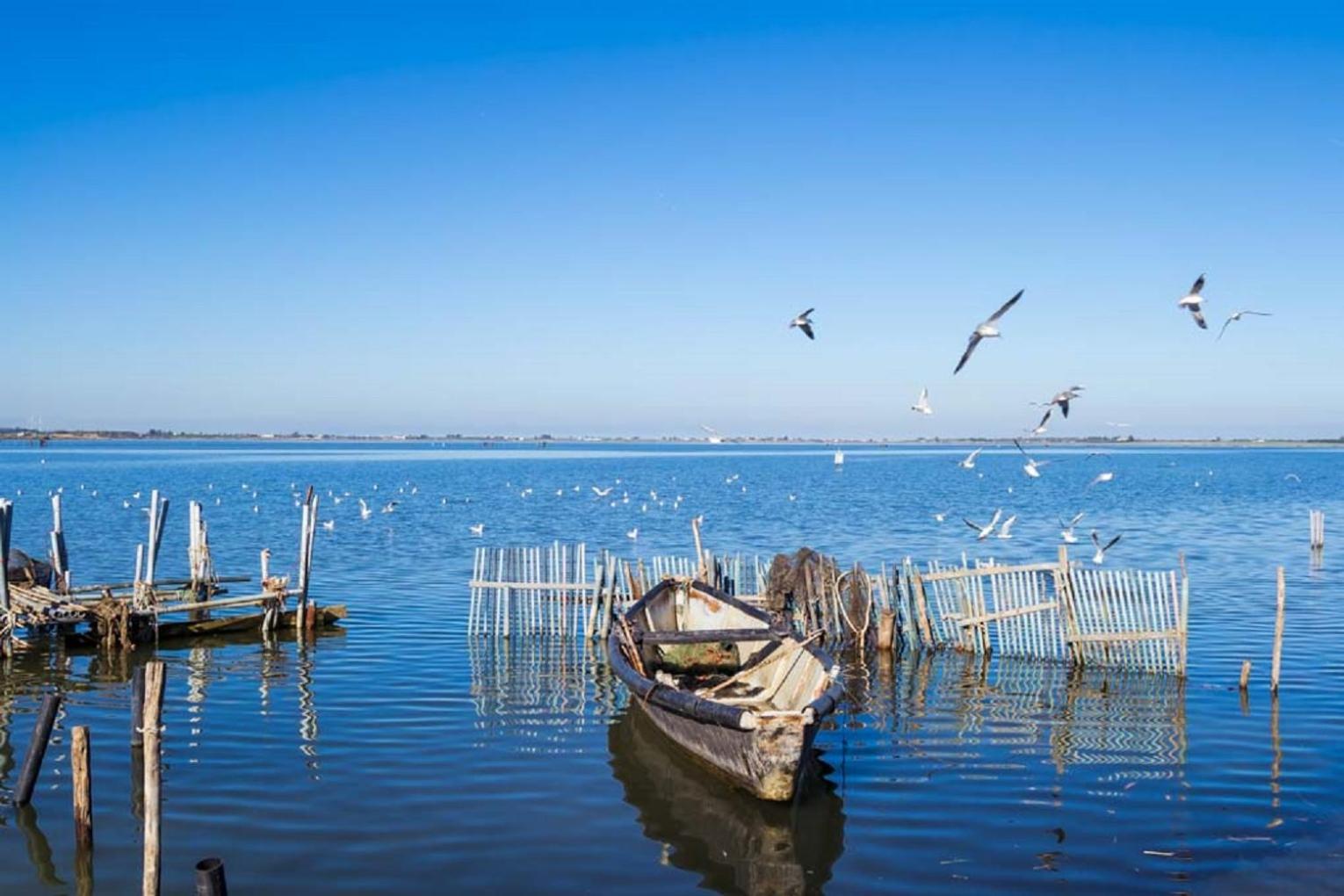 Casa Vacanze Lesina Gargano view 3