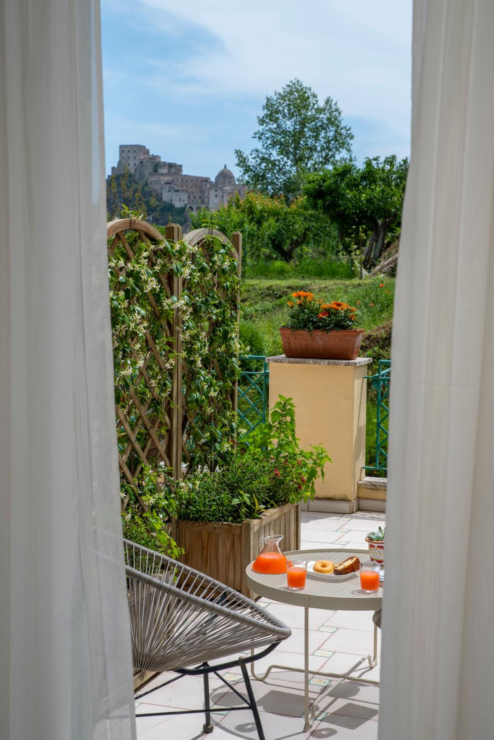 balance & terrace
