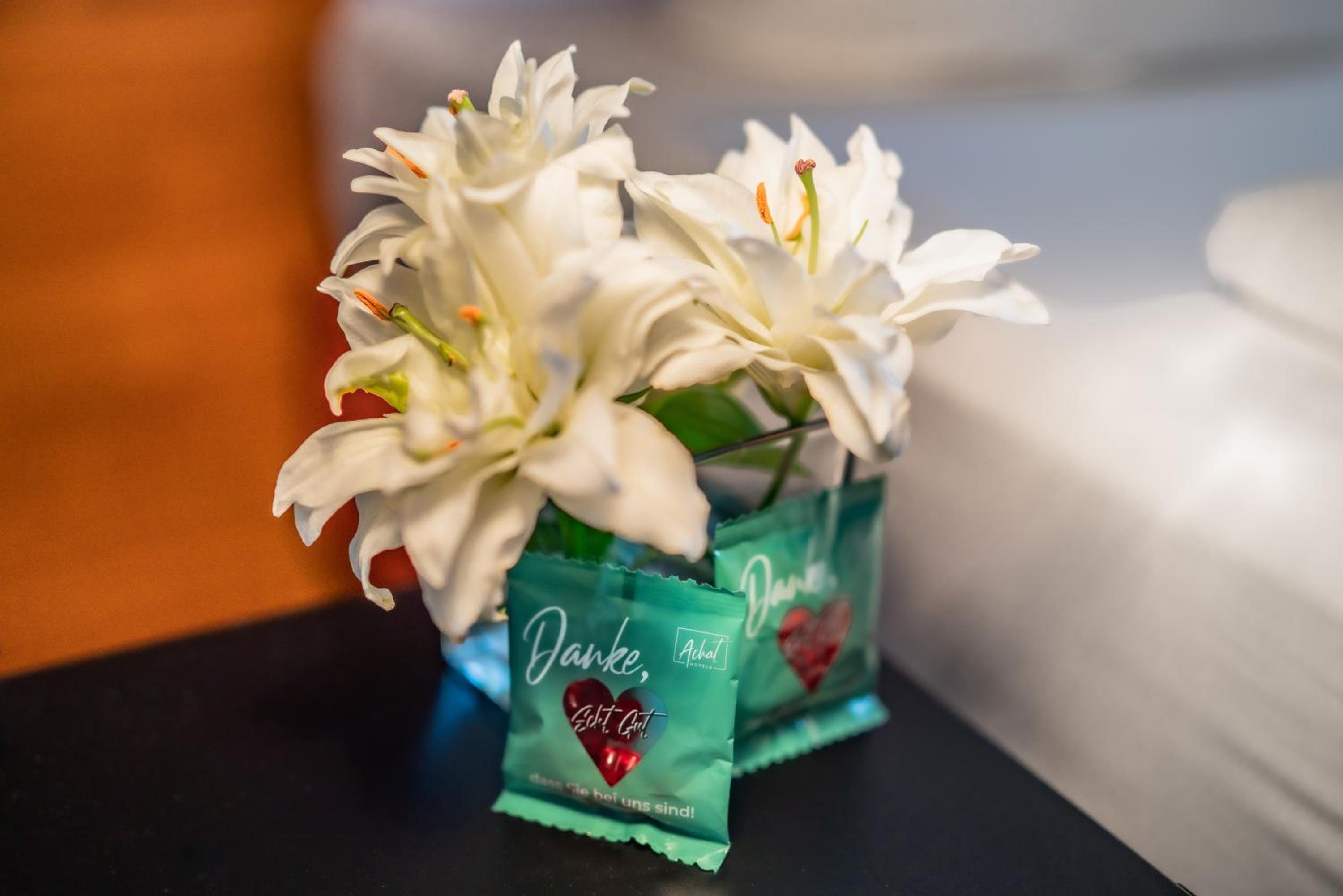 Dresden Vacations - ACHAT Hotel Dresden Altstadt - Property Image 18