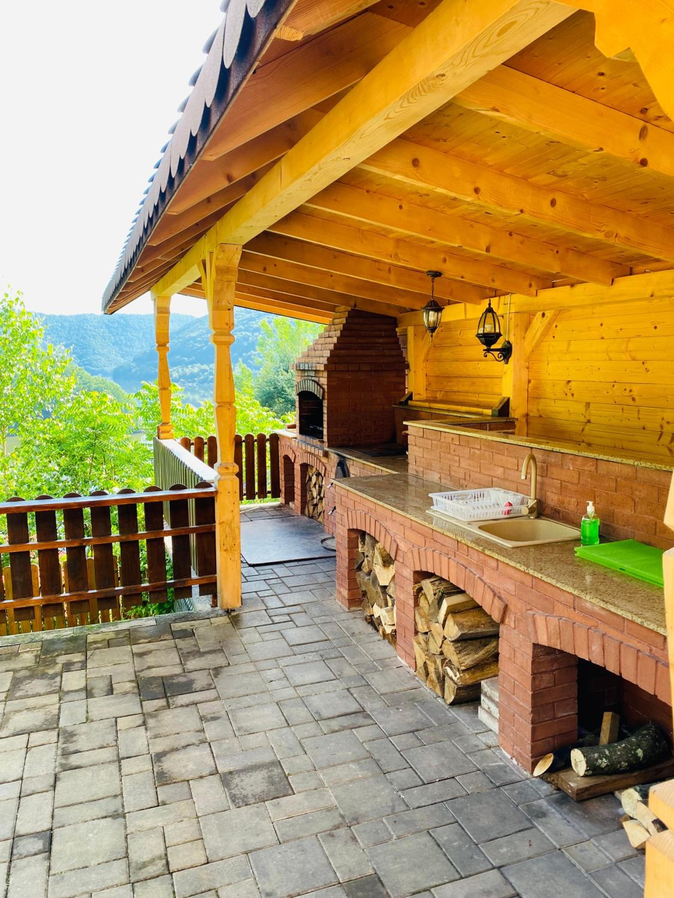 Vila Tarnita view 4